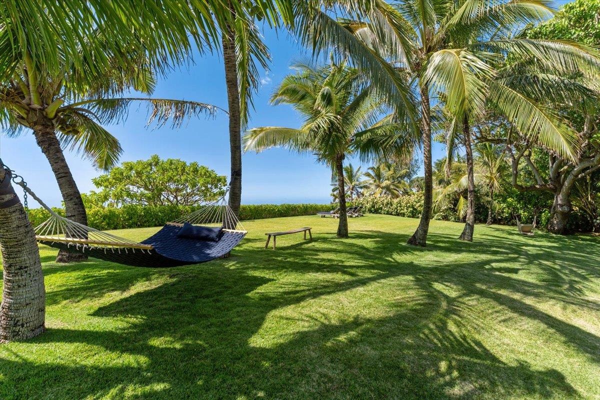 33  Hana Hwy Paia Town, Spreckelsville/Paia/Kuau home - photo 44 of 50