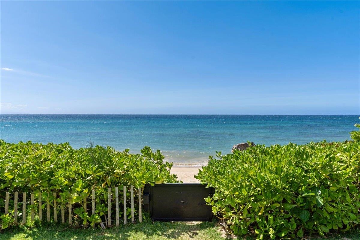 33  Hana Hwy Paia Town, Spreckelsville/Paia/Kuau home - photo 48 of 50