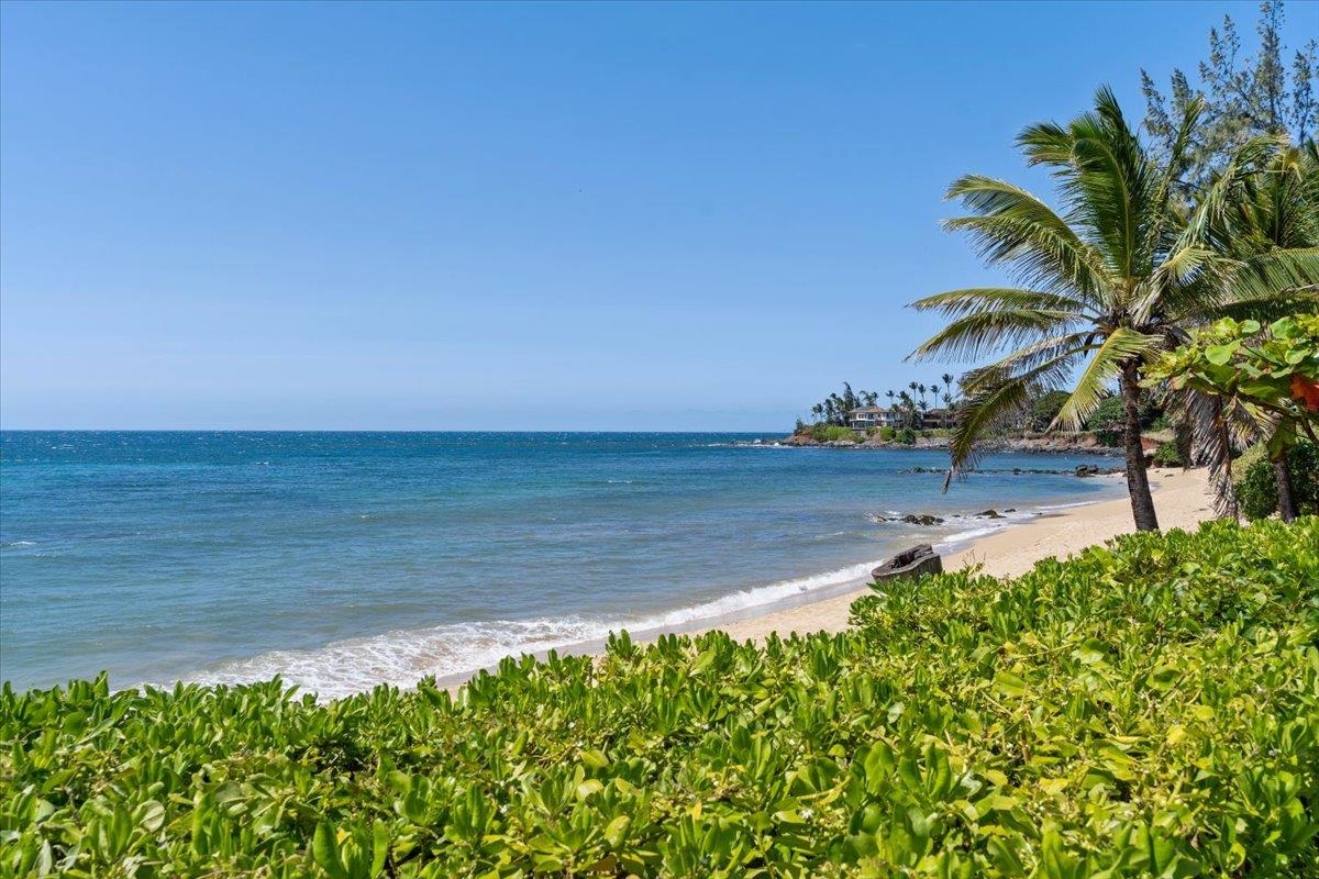 33  Hana Hwy Paia Town, Spreckelsville/Paia/Kuau home - photo 49 of 50