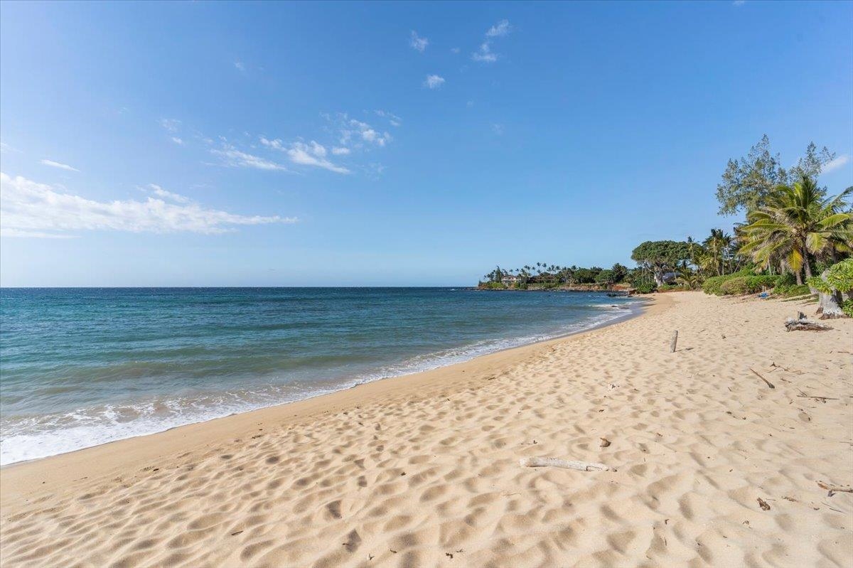 33  Hana Hwy Paia Town, Spreckelsville/Paia/Kuau home - photo 50 of 50