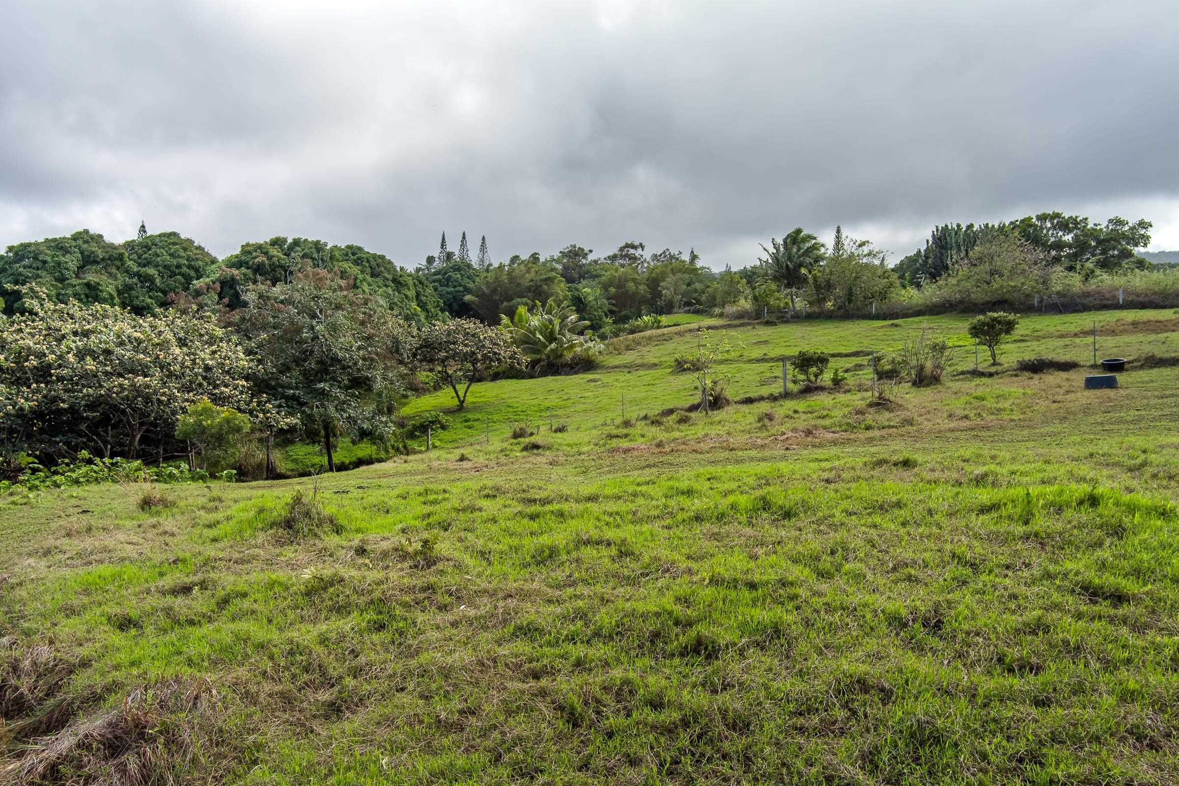 33  Hoolawa Rd Huelo, Haiku home - photo 13 of 50