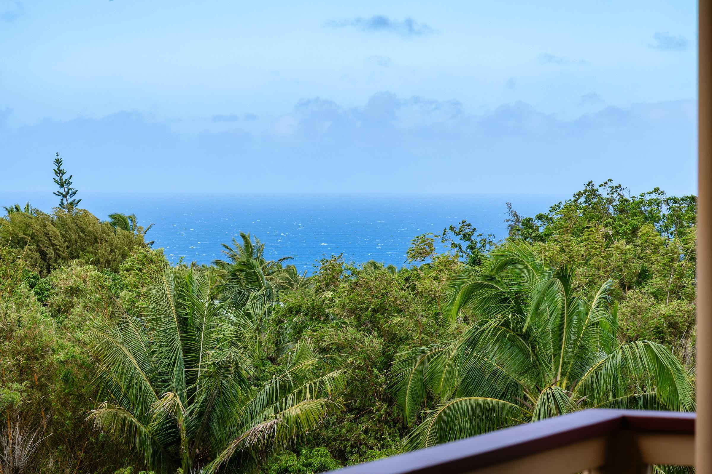 33  Hoolawa Rd Huelo, Haiku home - photo 19 of 50