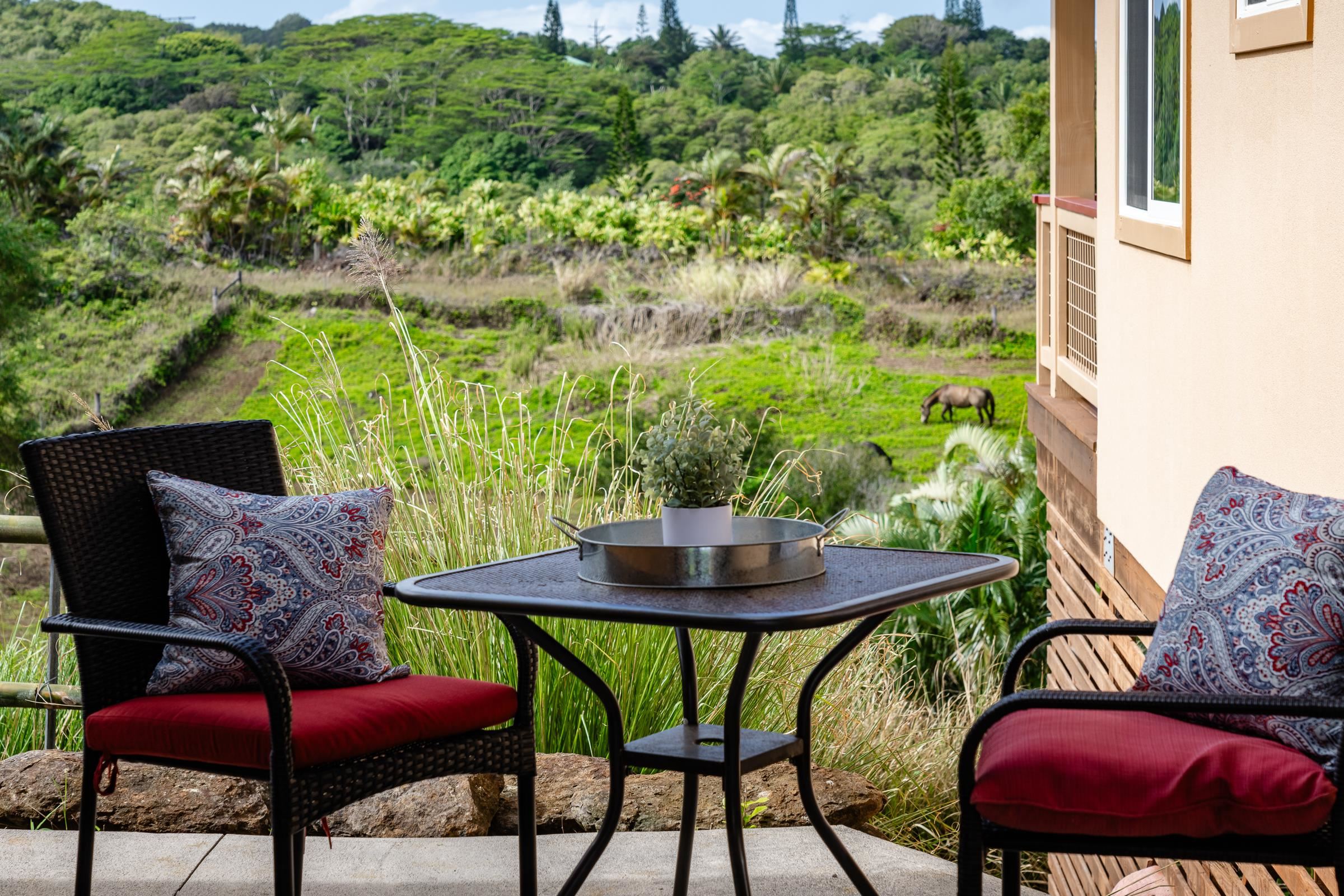 33  Hoolawa Rd Huelo, Haiku home - photo 26 of 50