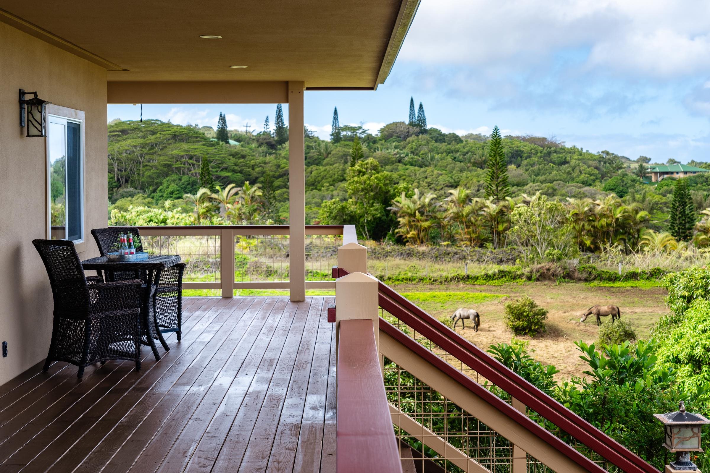 33  Hoolawa Rd Huelo, Haiku home - photo 29 of 50