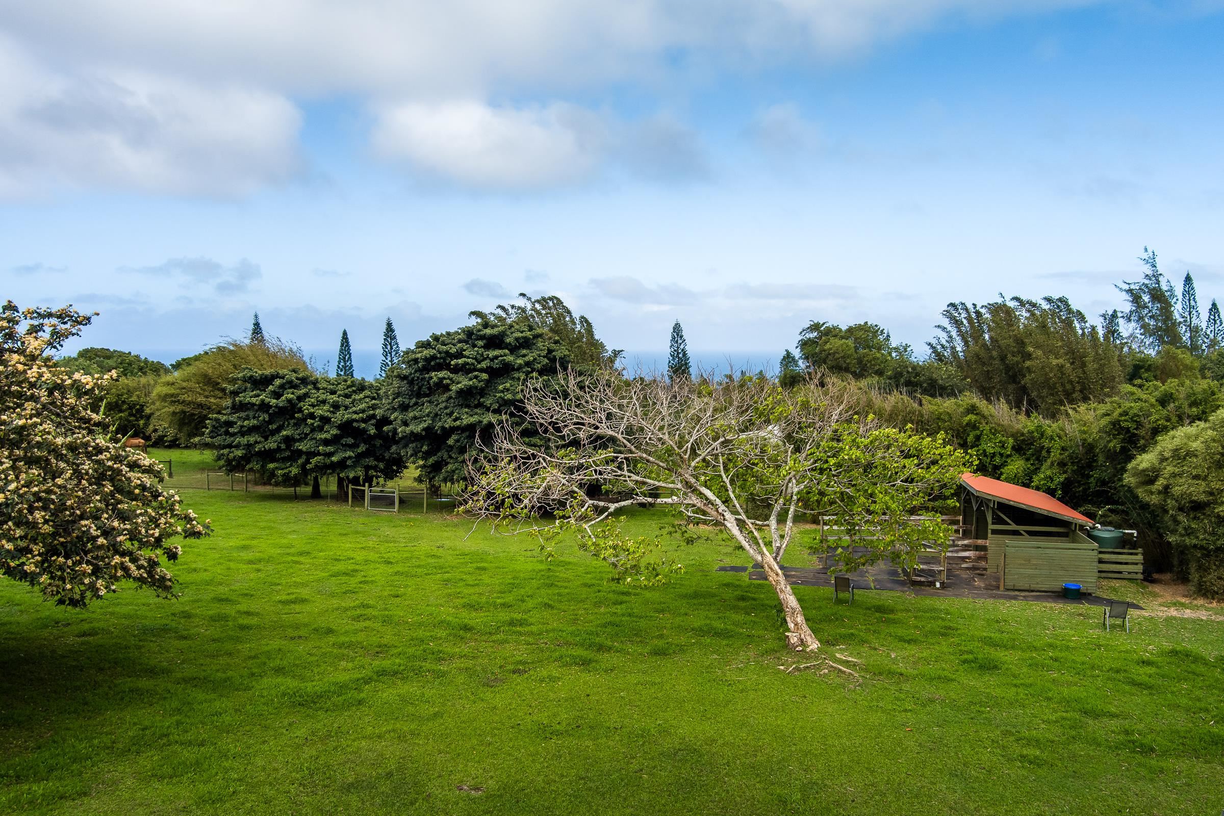 33  Hoolawa Rd Huelo, Haiku home - photo 39 of 50