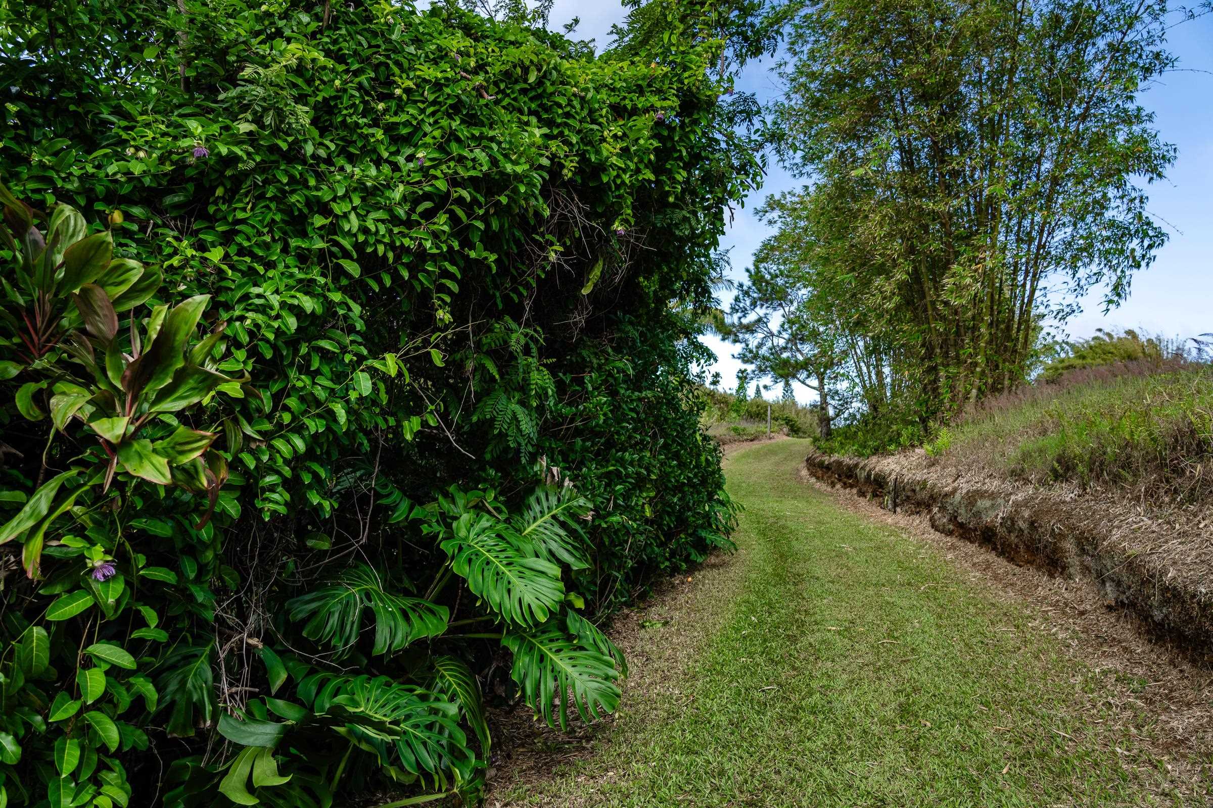 33  Hoolawa Rd Huelo, Haiku home - photo 44 of 50