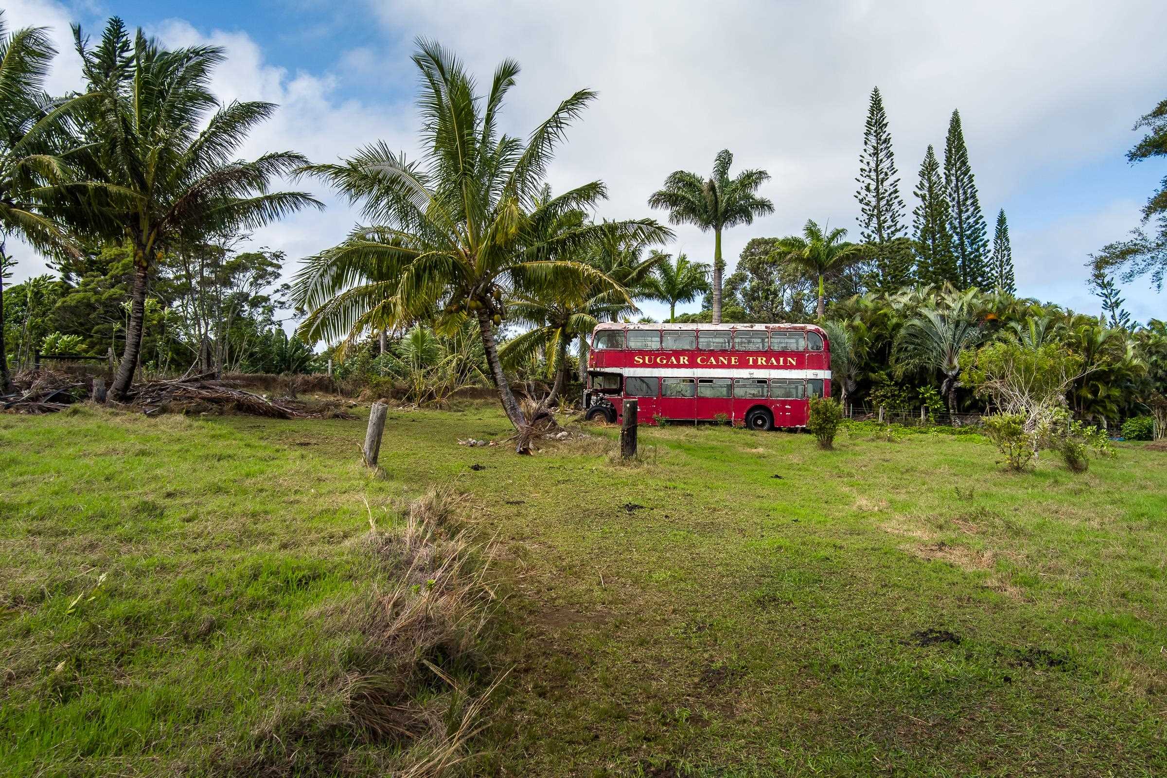 33  Hoolawa Rd Huelo, Haiku home - photo 46 of 50