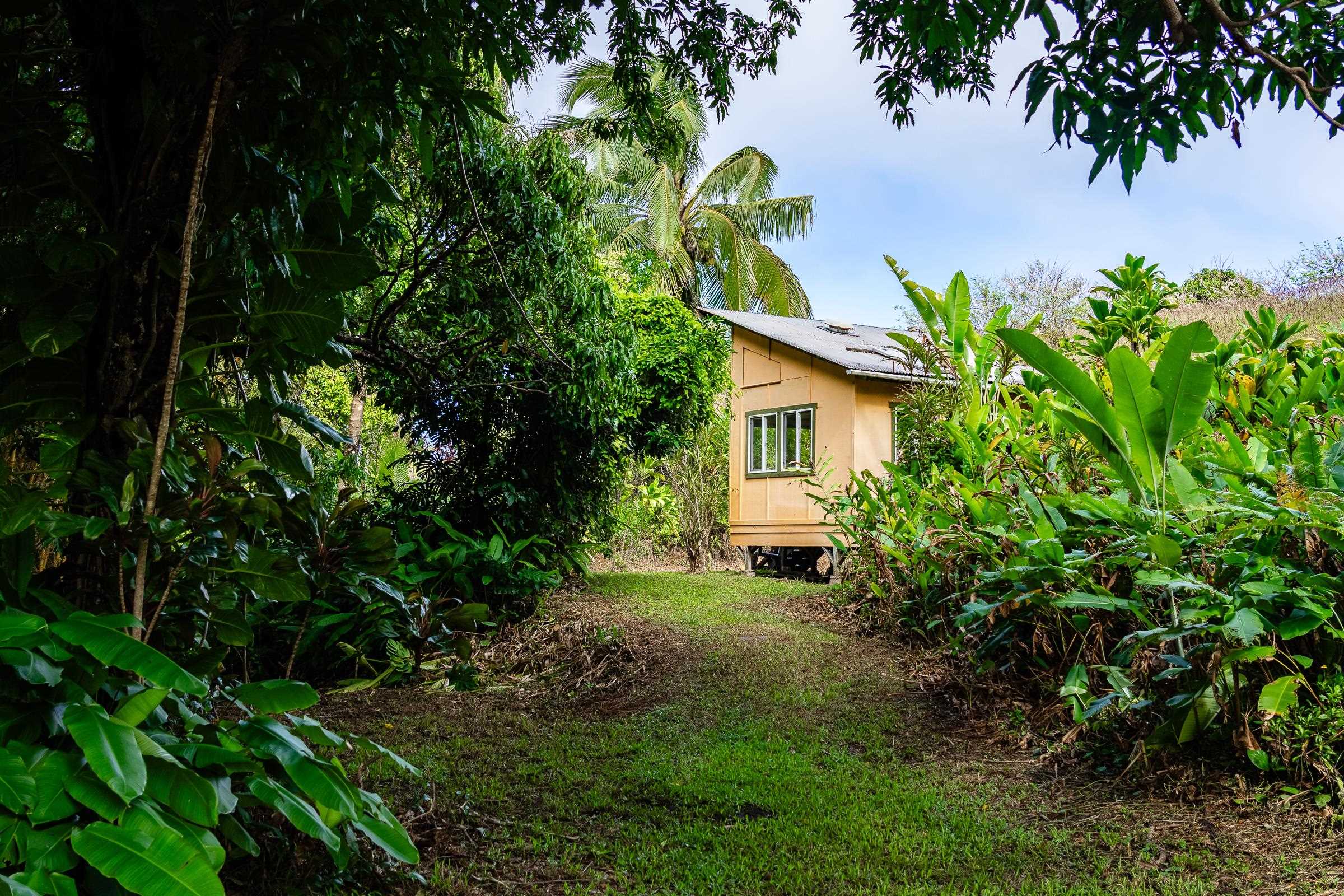 33  Hoolawa Rd Huelo, Haiku home - photo 47 of 50