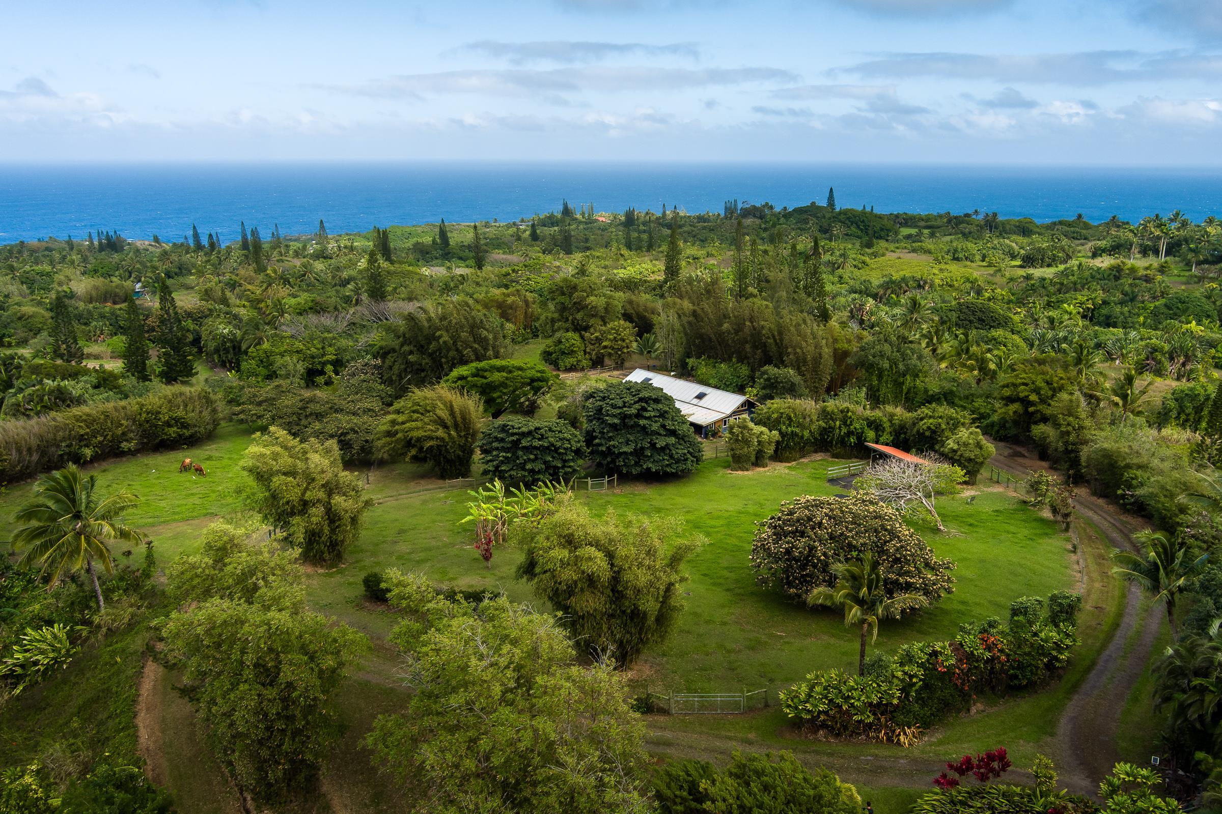 33  Hoolawa Rd Huelo, Haiku home - photo 49 of 50