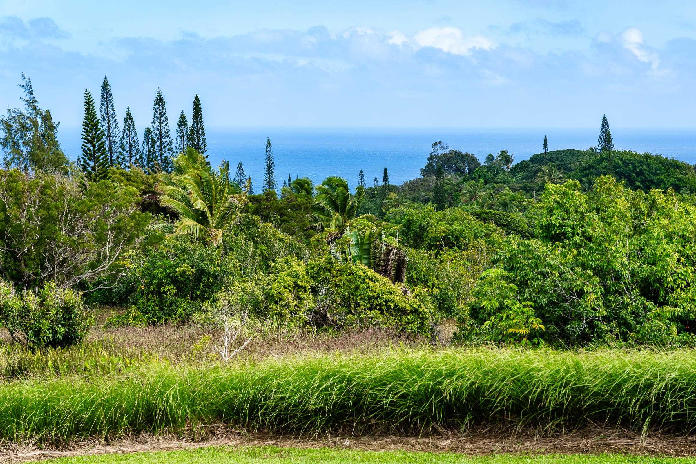 33  Hoolawa Rd Huelo, Haiku home - photo 7 of 50