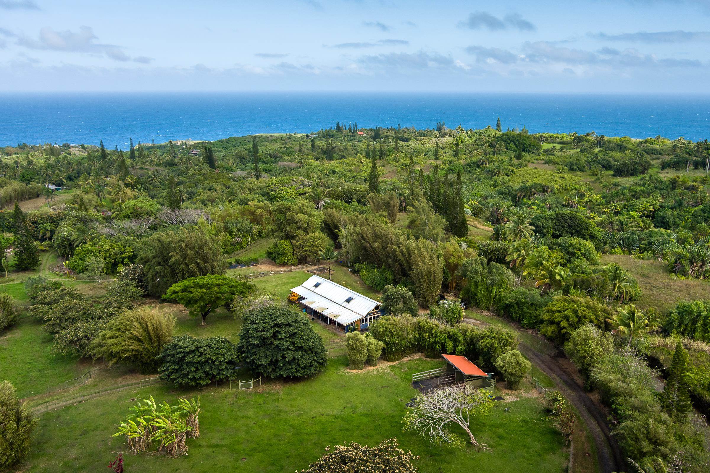 33  Hoolawa Rd Huelo, Haiku home - photo 8 of 50