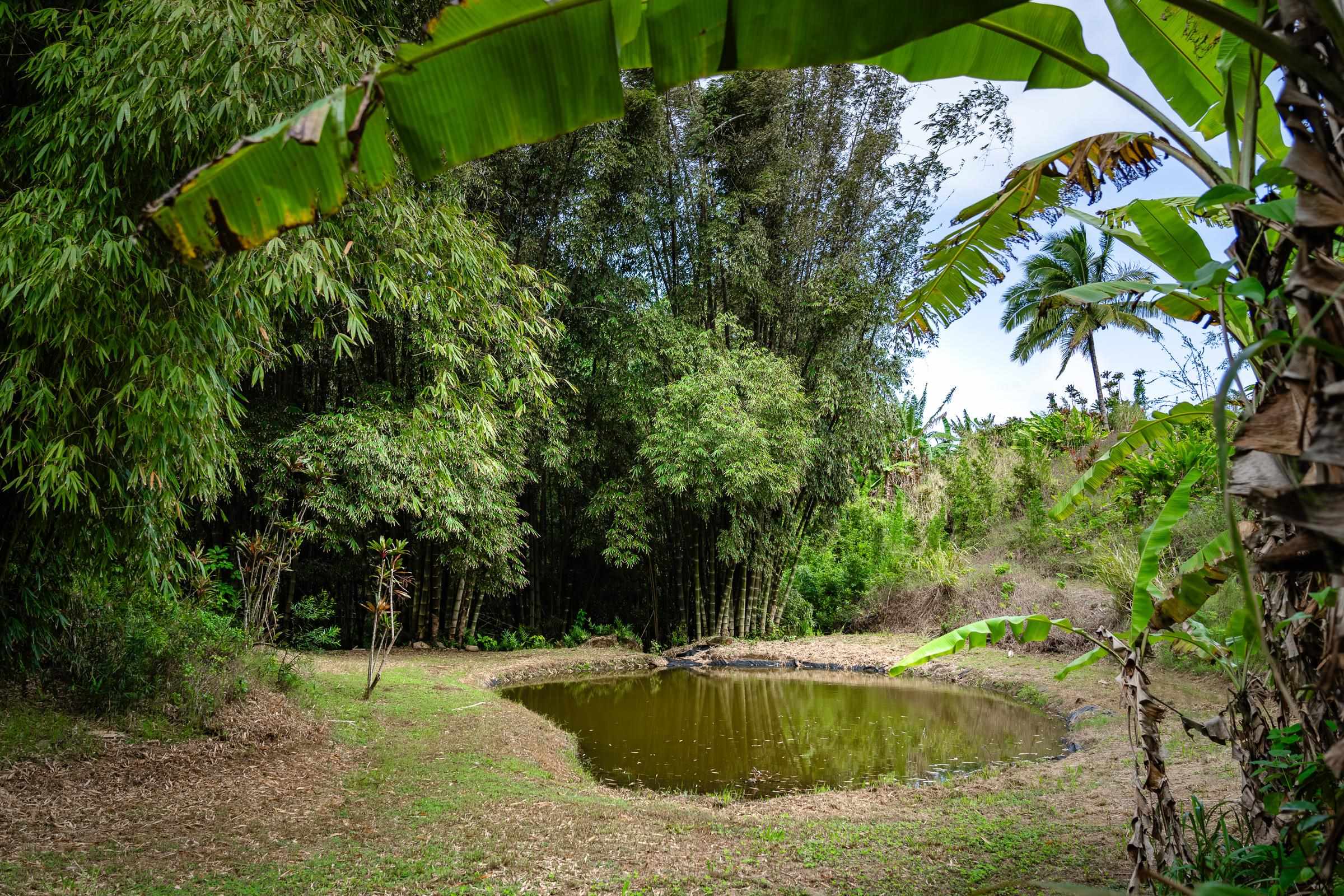 33  Hoolawa Rd Huelo, Haiku home - photo 9 of 50