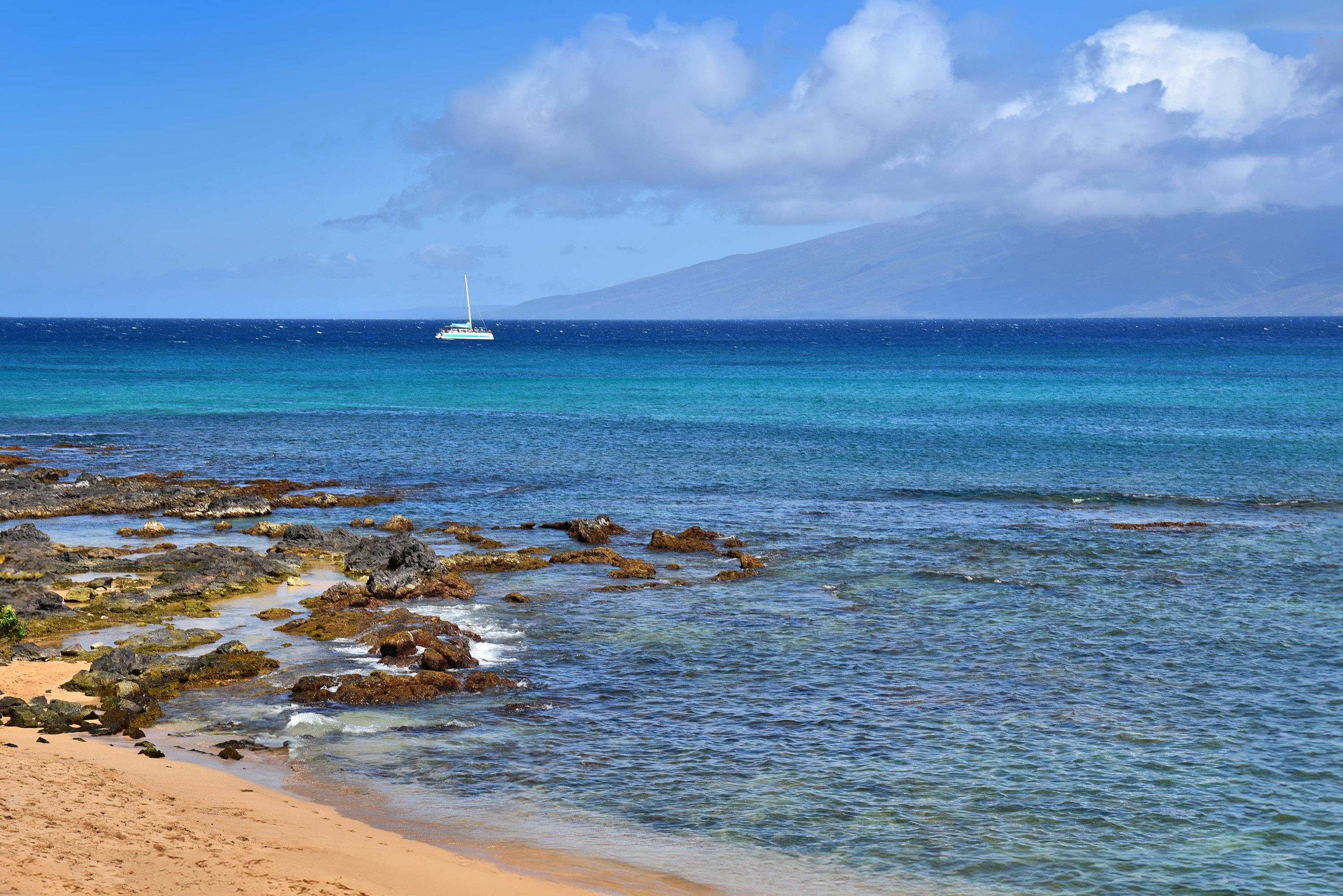 Napili Bay condo # 210, Lahaina, Hawaii - photo 13 of 24