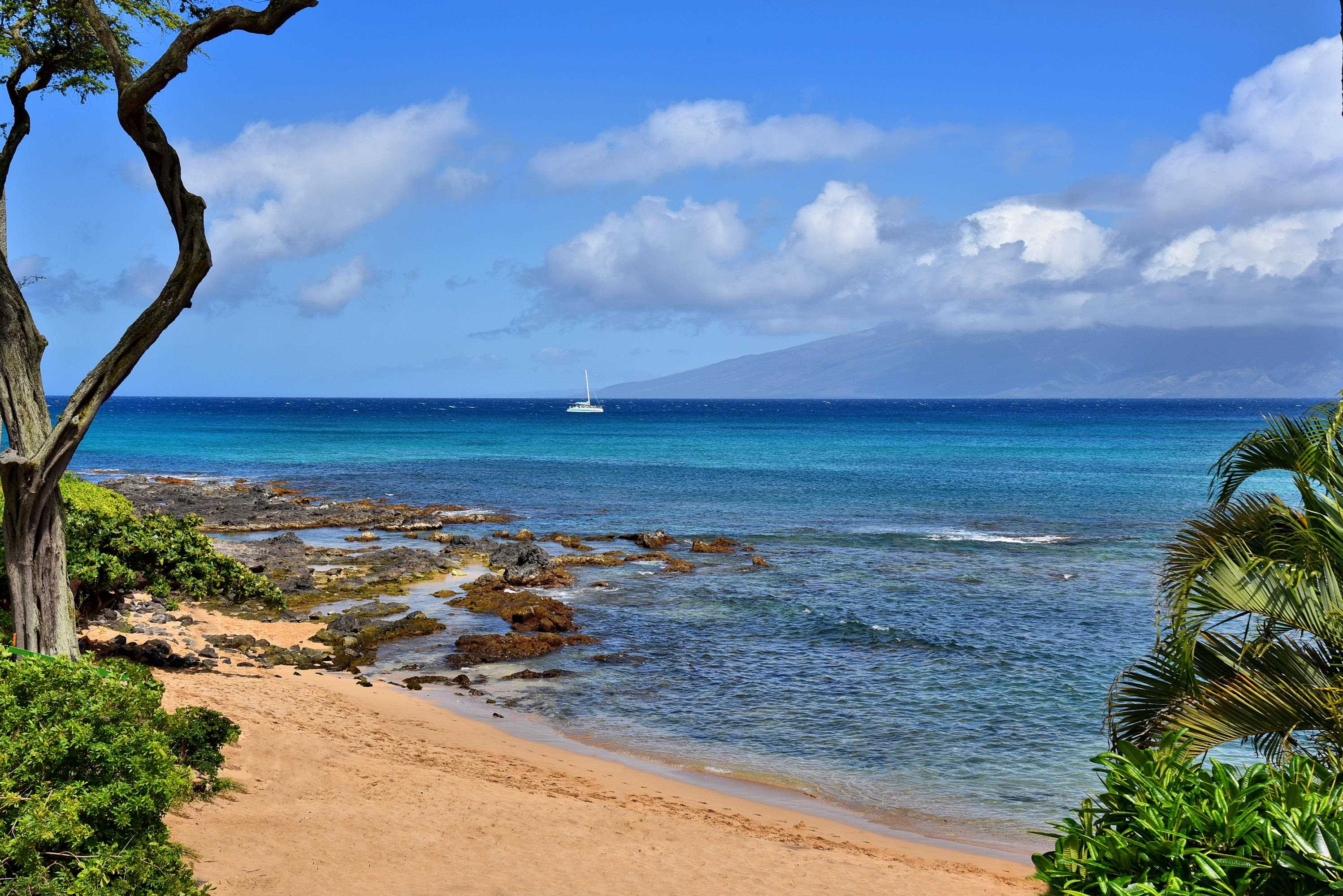 Napili Bay condo # 210, Lahaina, Hawaii - photo 14 of 24