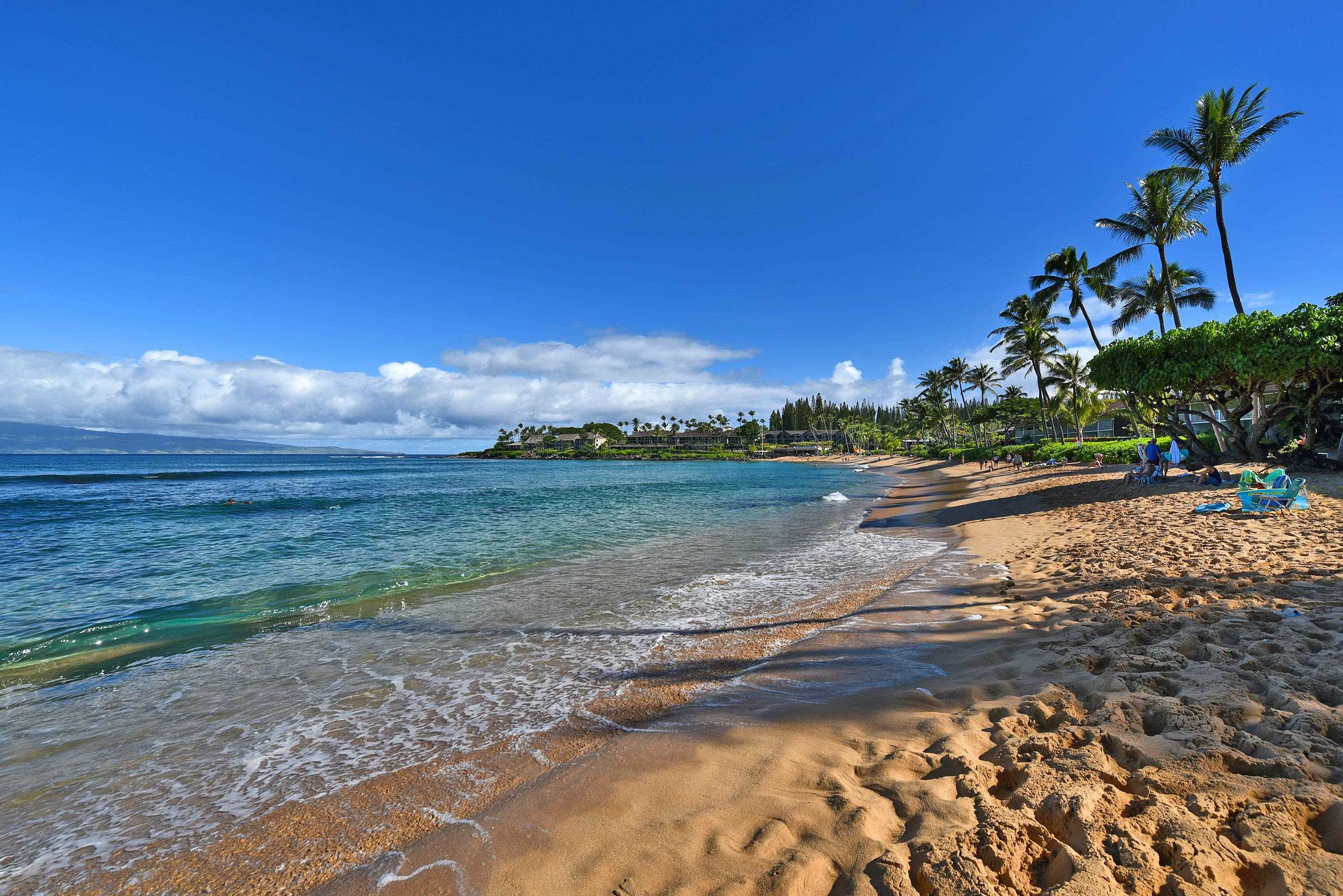 Napili Bay condo # 210, Lahaina, Hawaii - photo 15 of 24