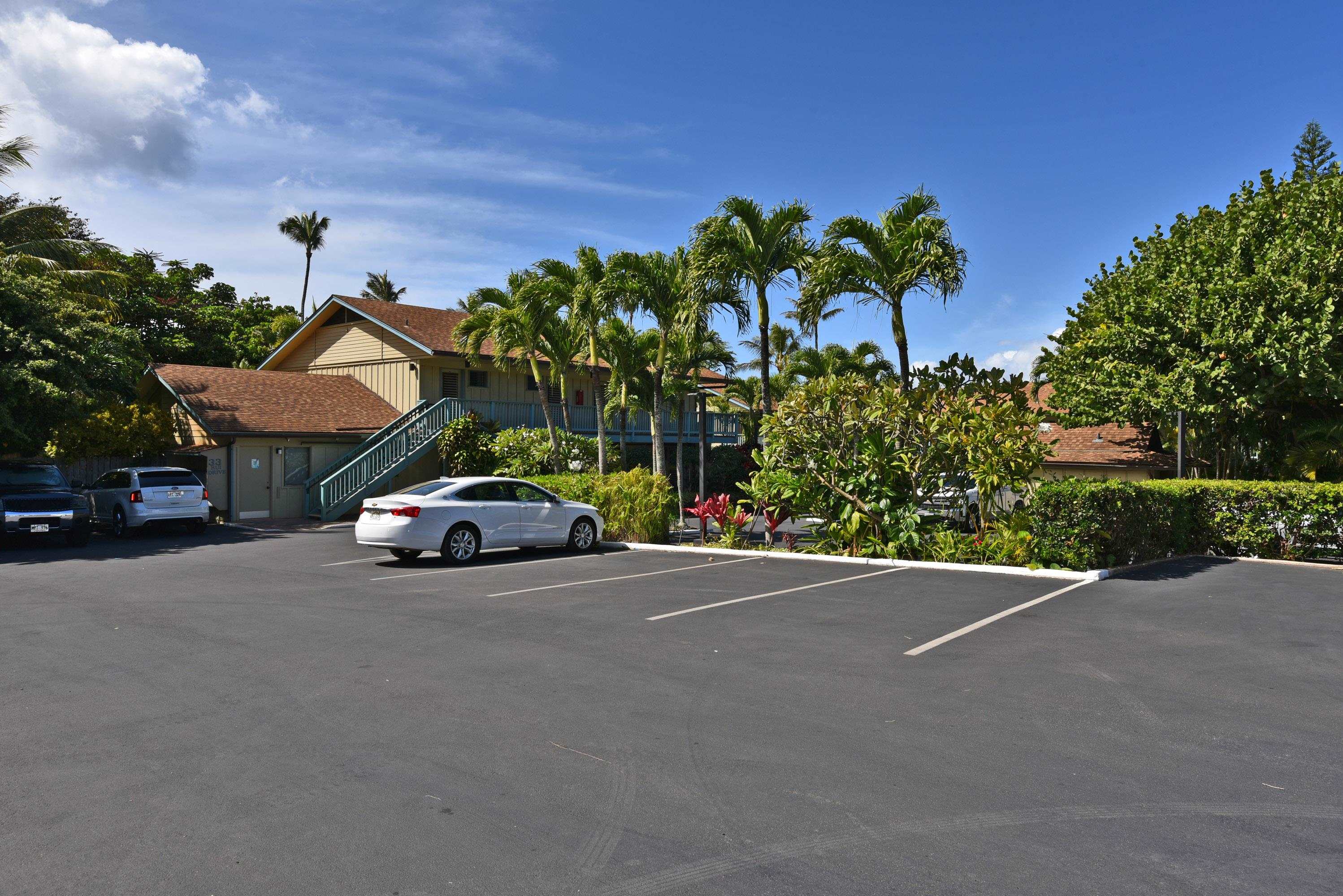 Napili Bay condo # 210, Lahaina, Hawaii - photo 20 of 24