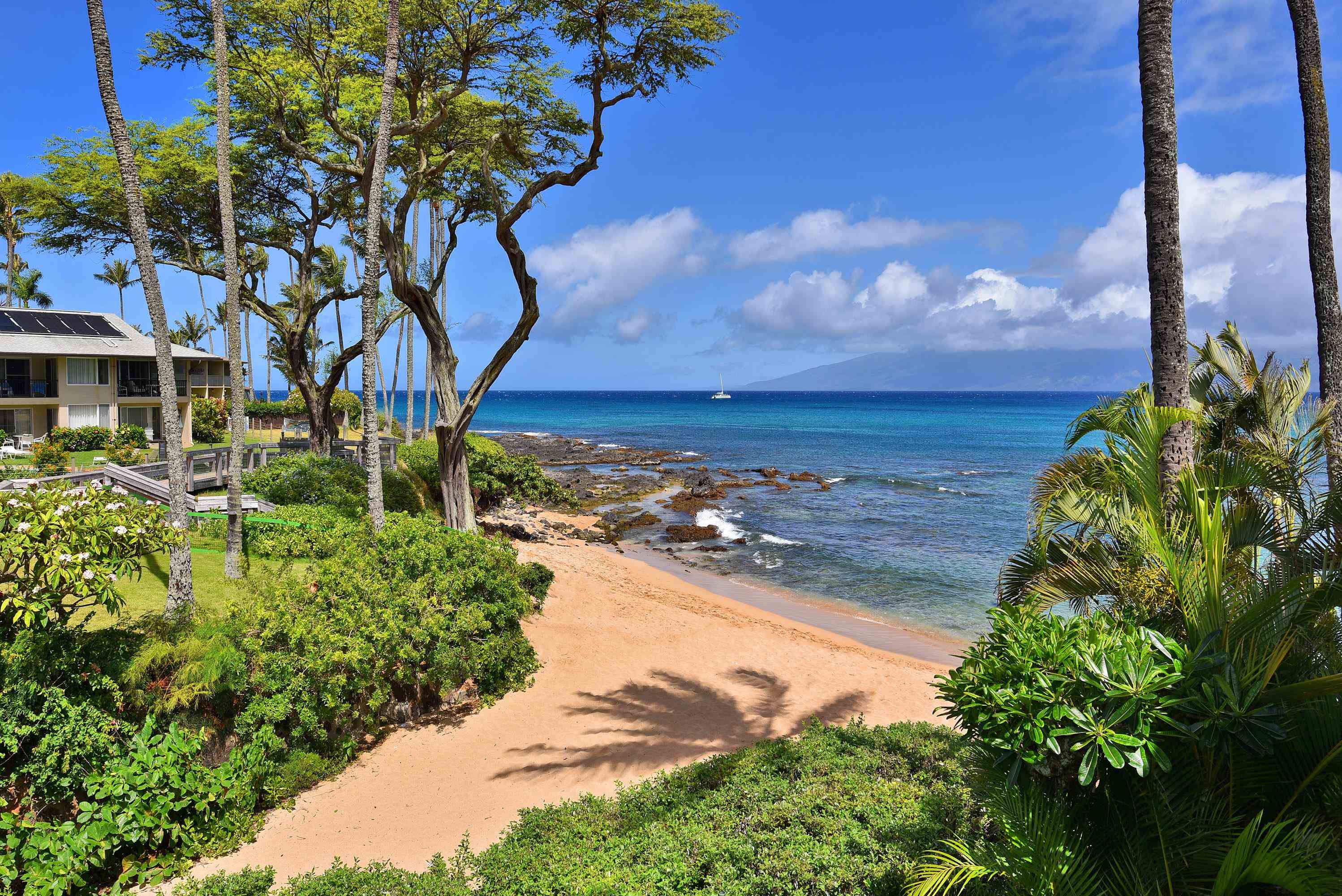 Napili Bay condo # 210, Lahaina, Hawaii - photo 3 of 24