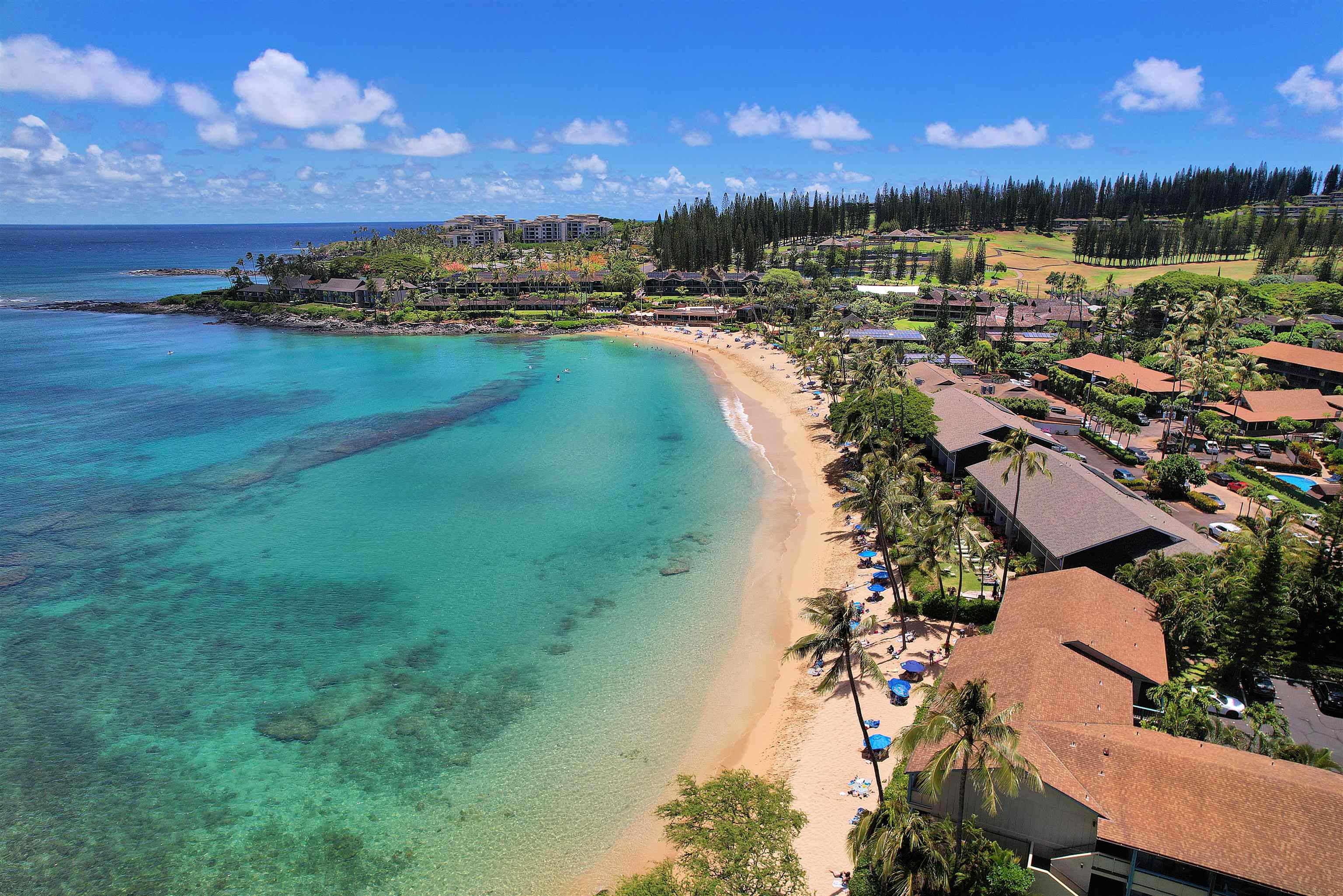 Napili Bay condo # 210, Lahaina, Hawaii - photo 3 of 26