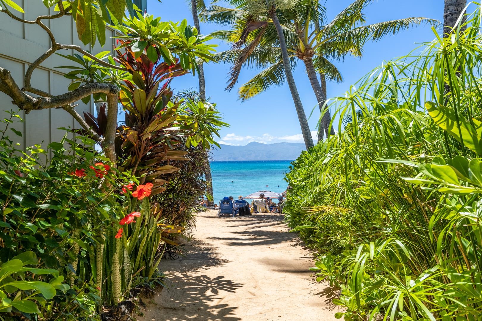 Napili Bay condo # 210, Lahaina, Hawaii - photo 21 of 24