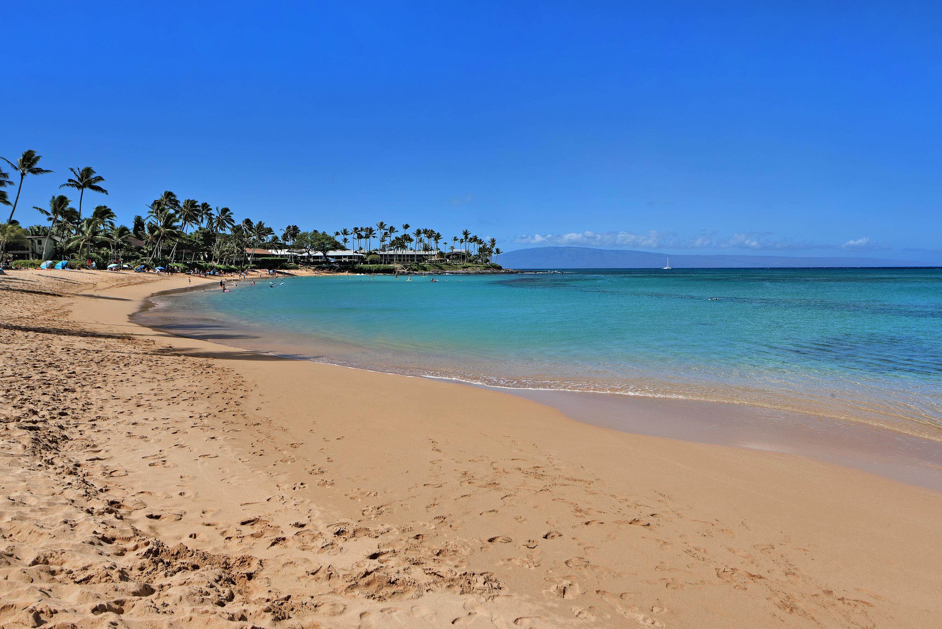 Napili Bay condo # 210, Lahaina, Hawaii - photo 22 of 24