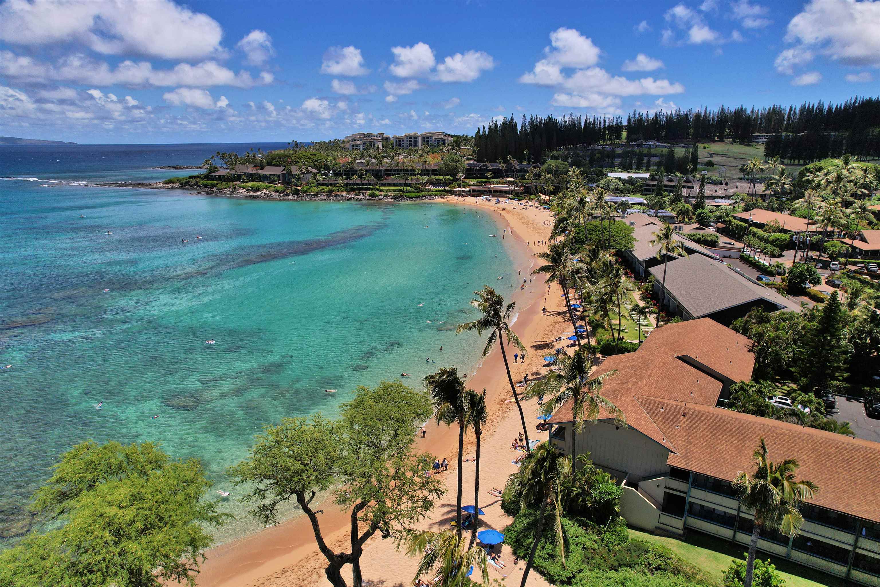 Napili Bay condo # 210, Lahaina, Hawaii - photo 23 of 24