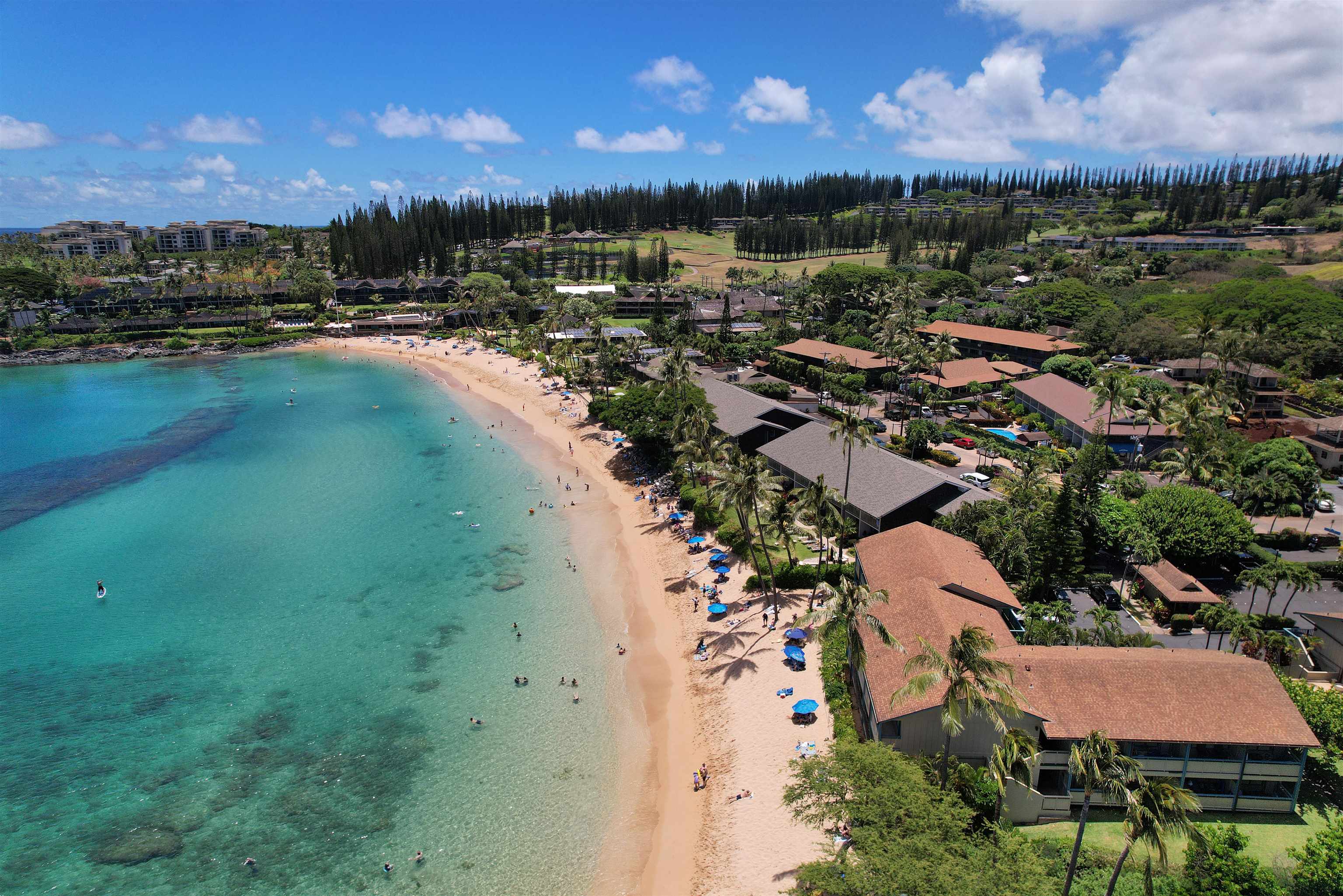 Napili Bay condo # 210, Lahaina, Hawaii - photo 24 of 24