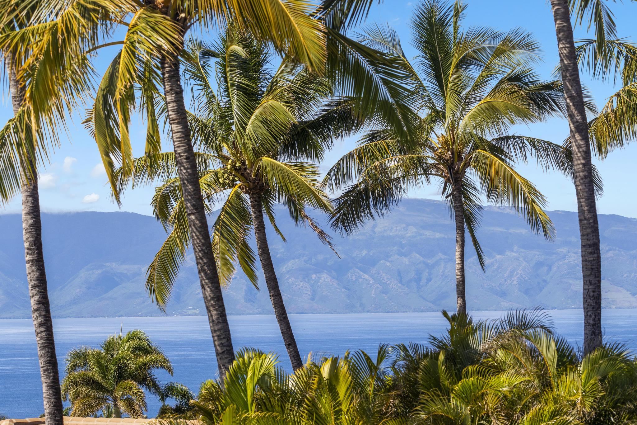 33  Mahi Pua Pl The Pinnacle At Kaanapali, Kaanapali home - photo 41 of 46