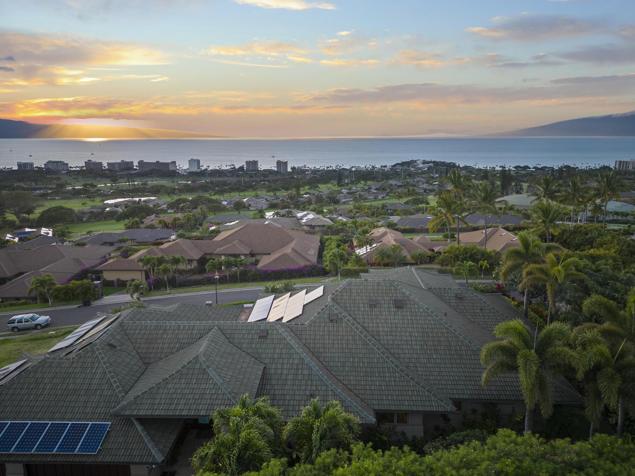 33  Mahi Pua Pl The Pinnacle At Kaanapali, Kaanapali home - photo 43 of 46