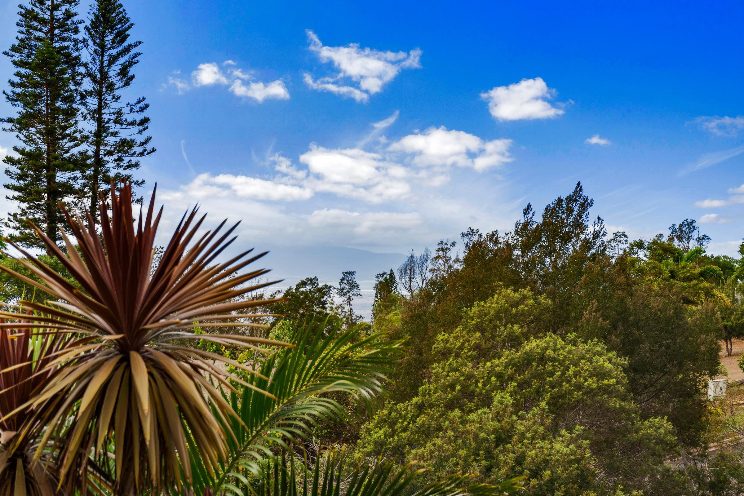 33  U'au Pl Kulamanu, Kula/Ulupalakua/Kanaio home - photo 18 of 50