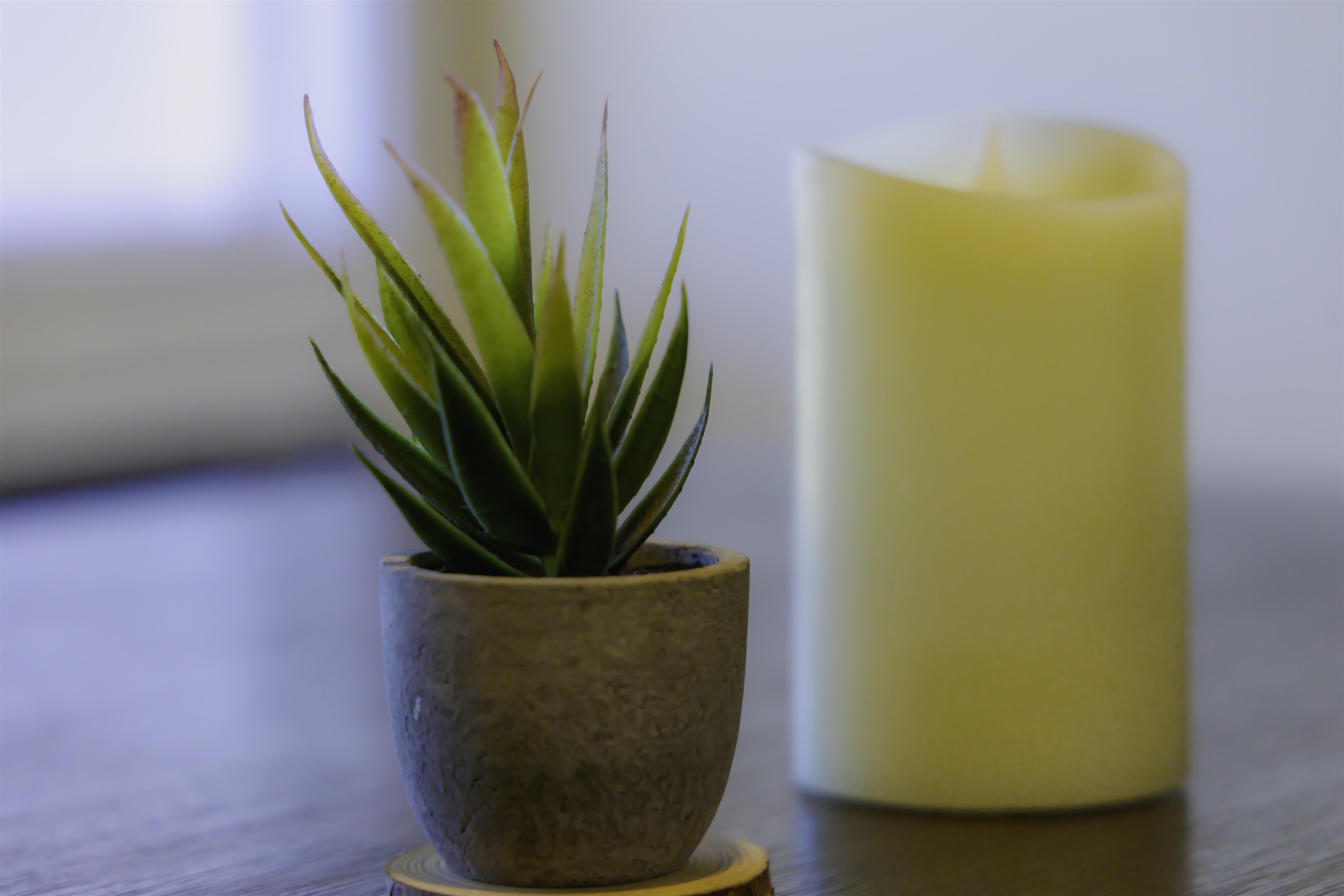 Iao Parkside IV-B condo # 33-205, Wailuku, Hawaii - photo 31 of 32