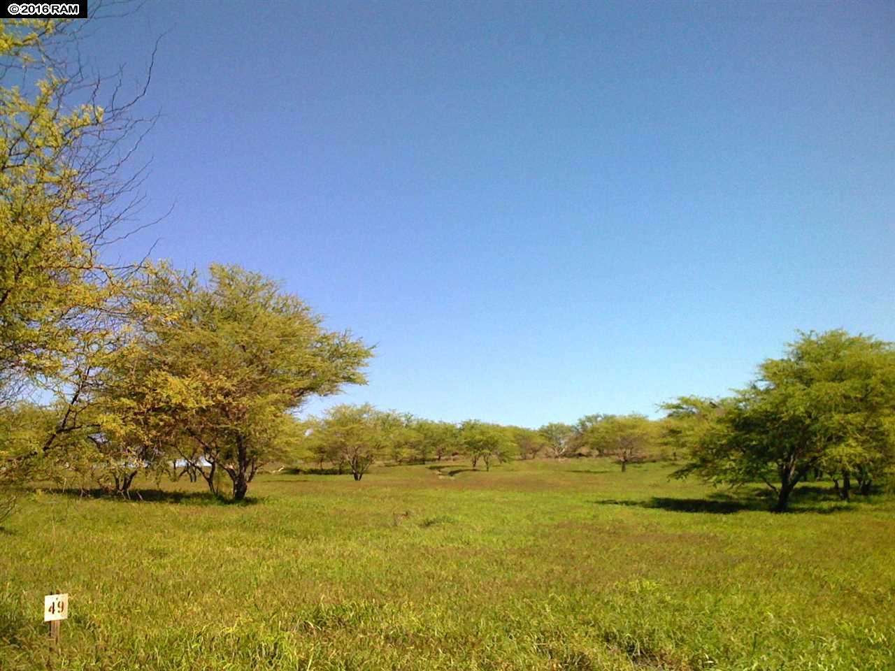 330 Kaula Rd Papoha Maunaloa, Hi vacant land for sale - photo 7 of 19