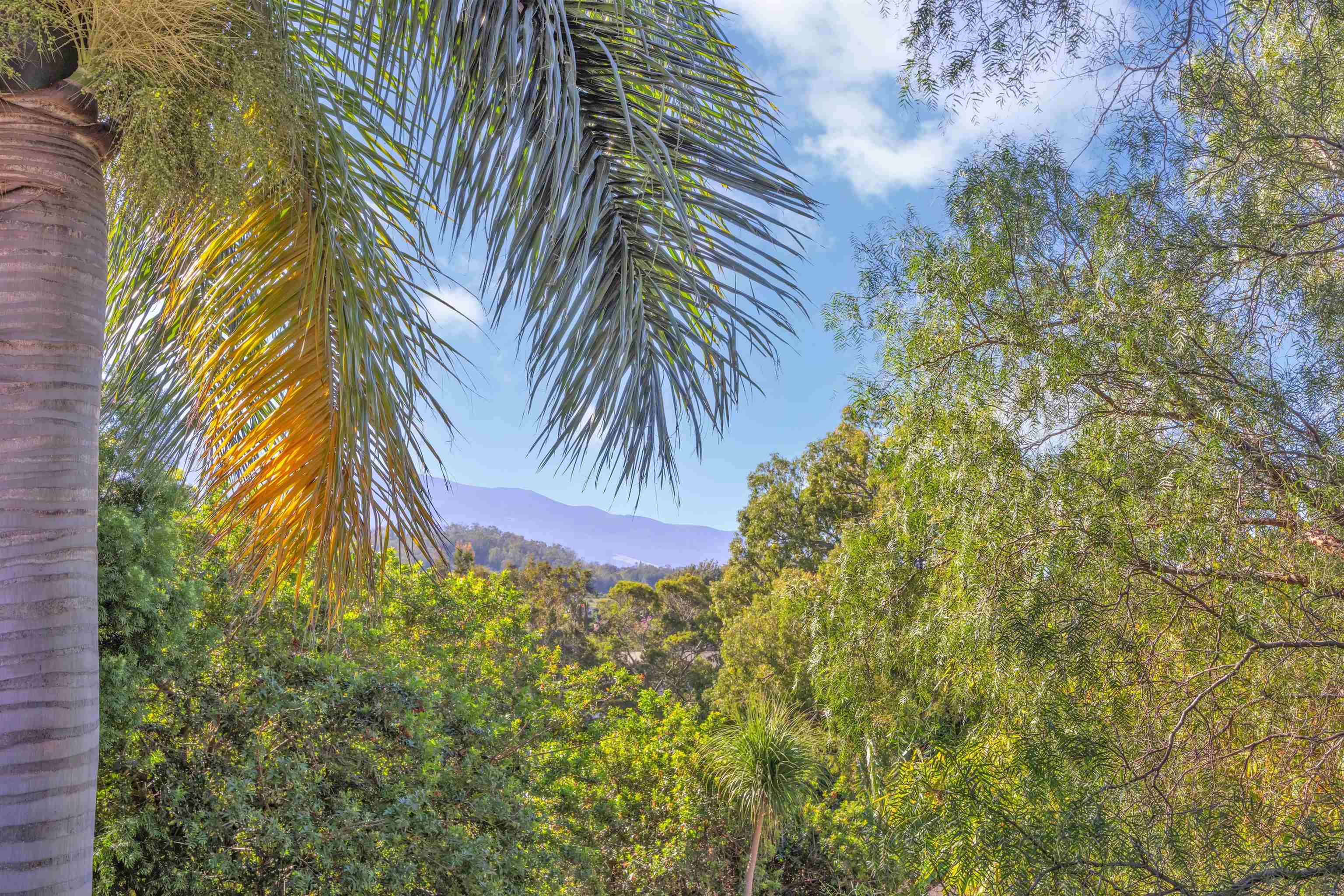 330  Kaupea St Maui Uplands, Makawao/Olinda/Haliimaile home - photo 27 of 47