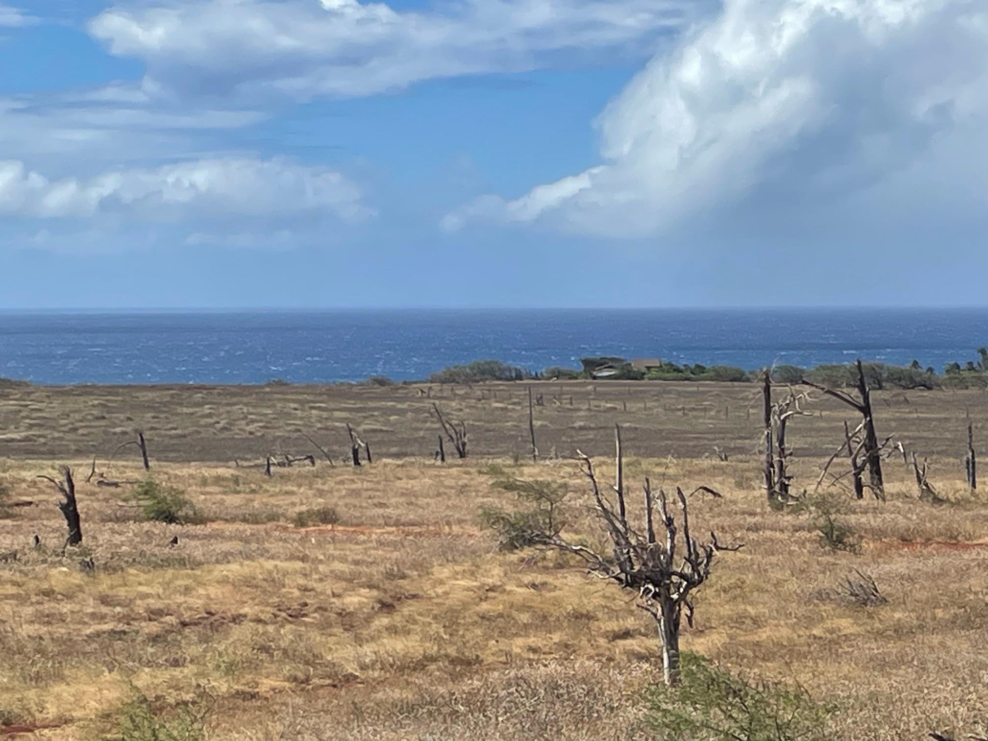 3300  Pohakuloa Rd West Molokai, Molokai home - photo 25 of 25