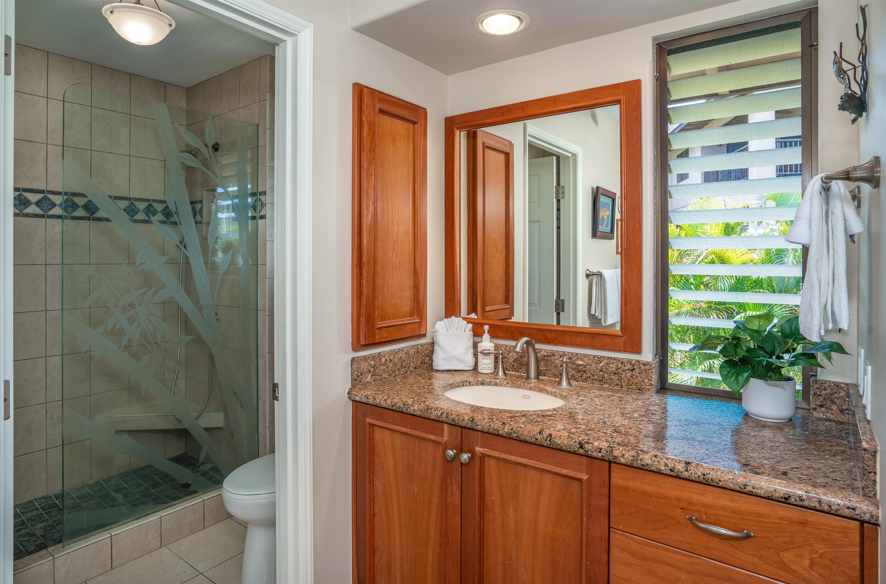 Wailea Ekahi I condo # 10F, Kihei, Hawaii - photo 24 of 41