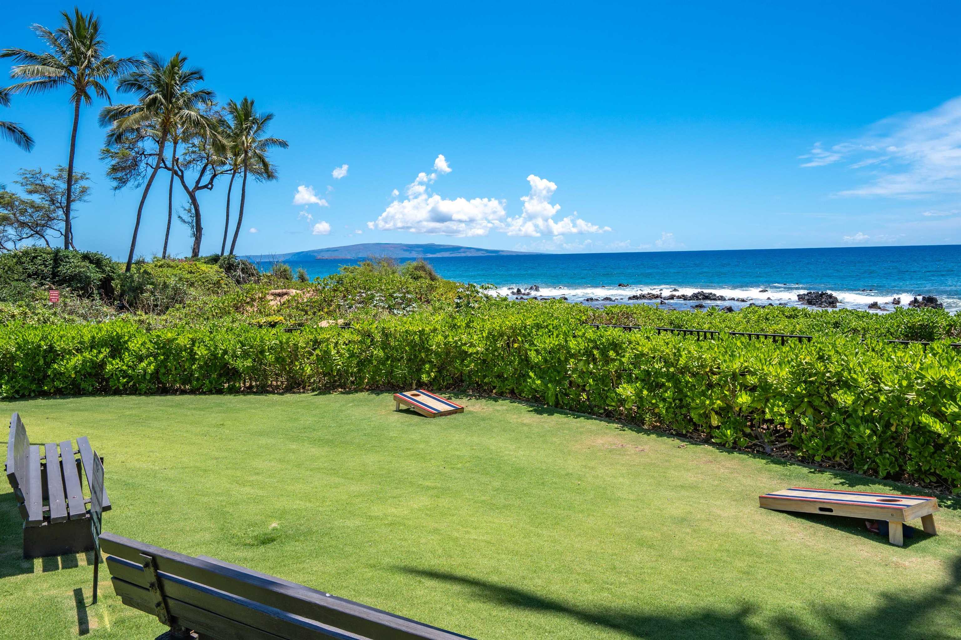 Wailea Ekahi I condo # 10F, Kihei, Hawaii - photo 37 of 41