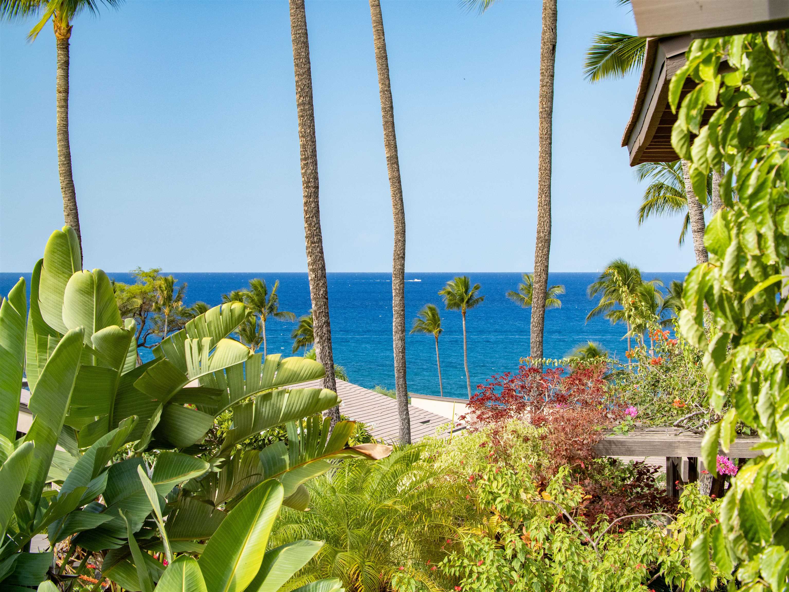 Wailea Ekahi I condo # 13C, Kihei, Hawaii - photo 2 of 50