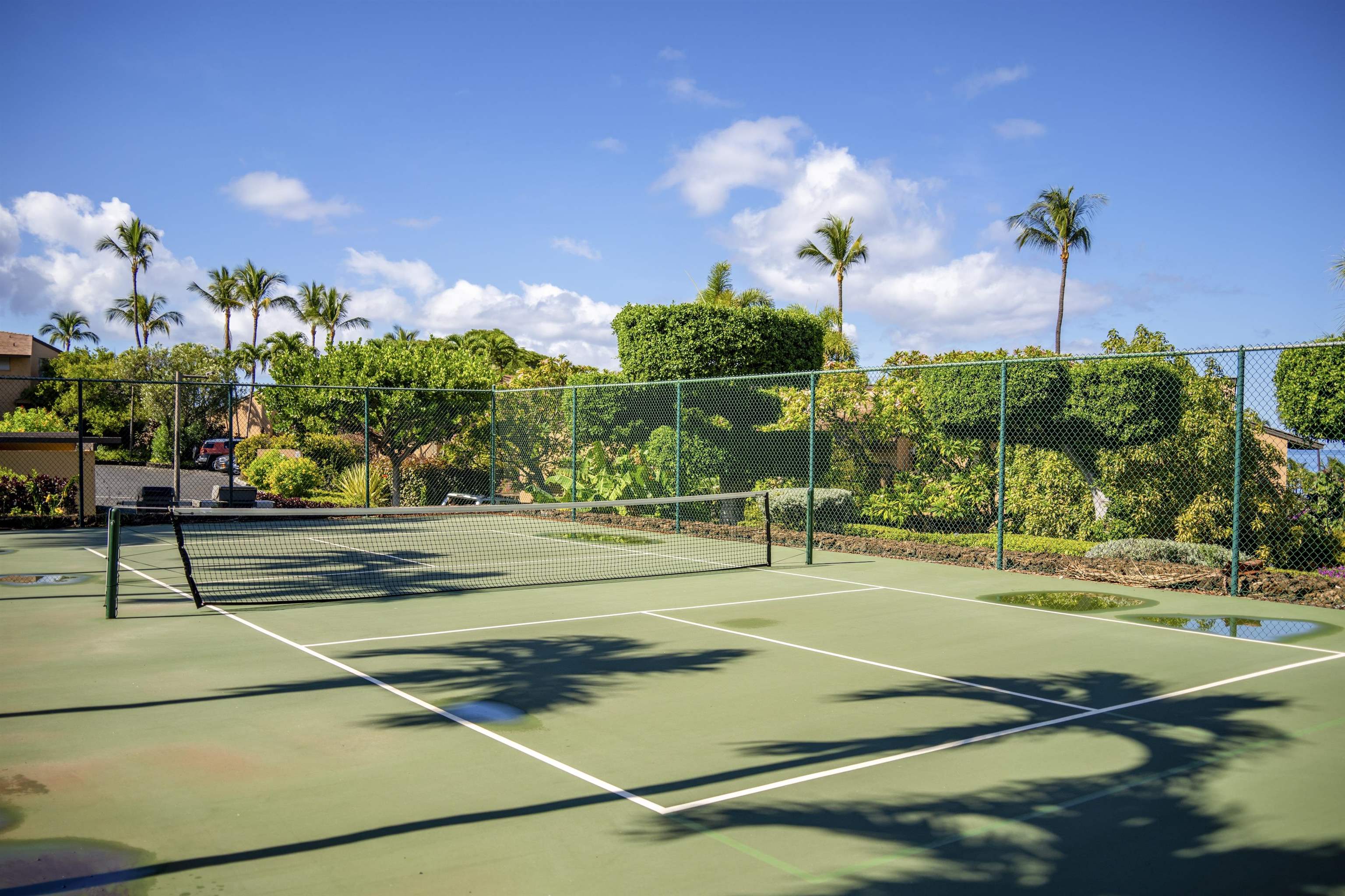 Wailea Ekahi I condo # 13D, Kihei, Hawaii - photo 42 of 50