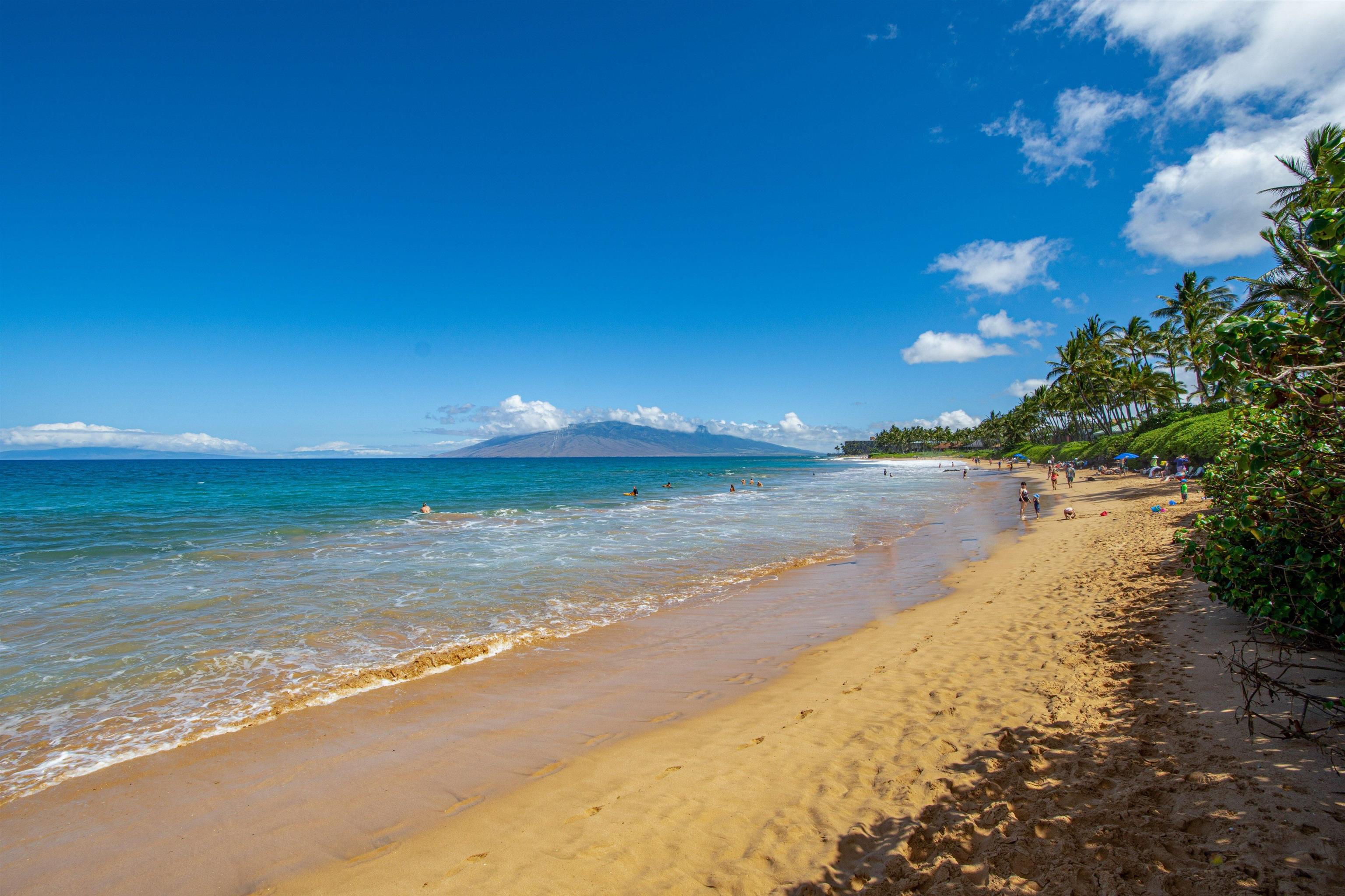 Wailea Ekahi I condo # 13F, Kihei, Hawaii - photo 21 of 22