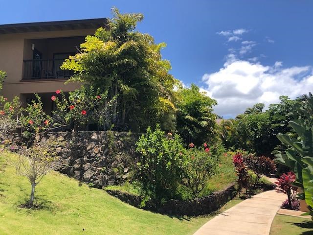 Wailea Ekahi I condo # 1C, Kihei, Hawaii - photo 17 of 24