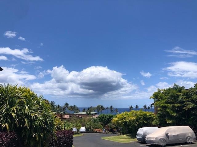 Wailea Ekahi I condo # 1C, Kihei, Hawaii - photo 20 of 24