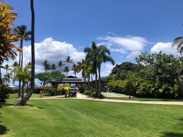 Wailea Ekahi I condo # 1C, Kihei, Hawaii - photo 21 of 24