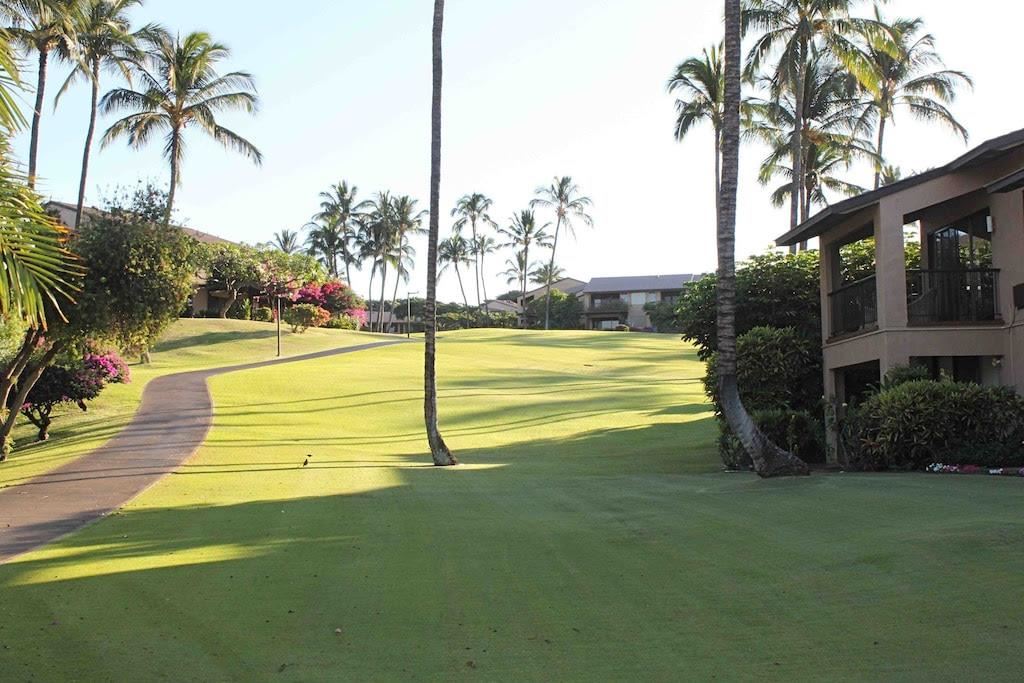 Wailea Ekahi I condo # 1C, Kihei, Hawaii - photo 22 of 24