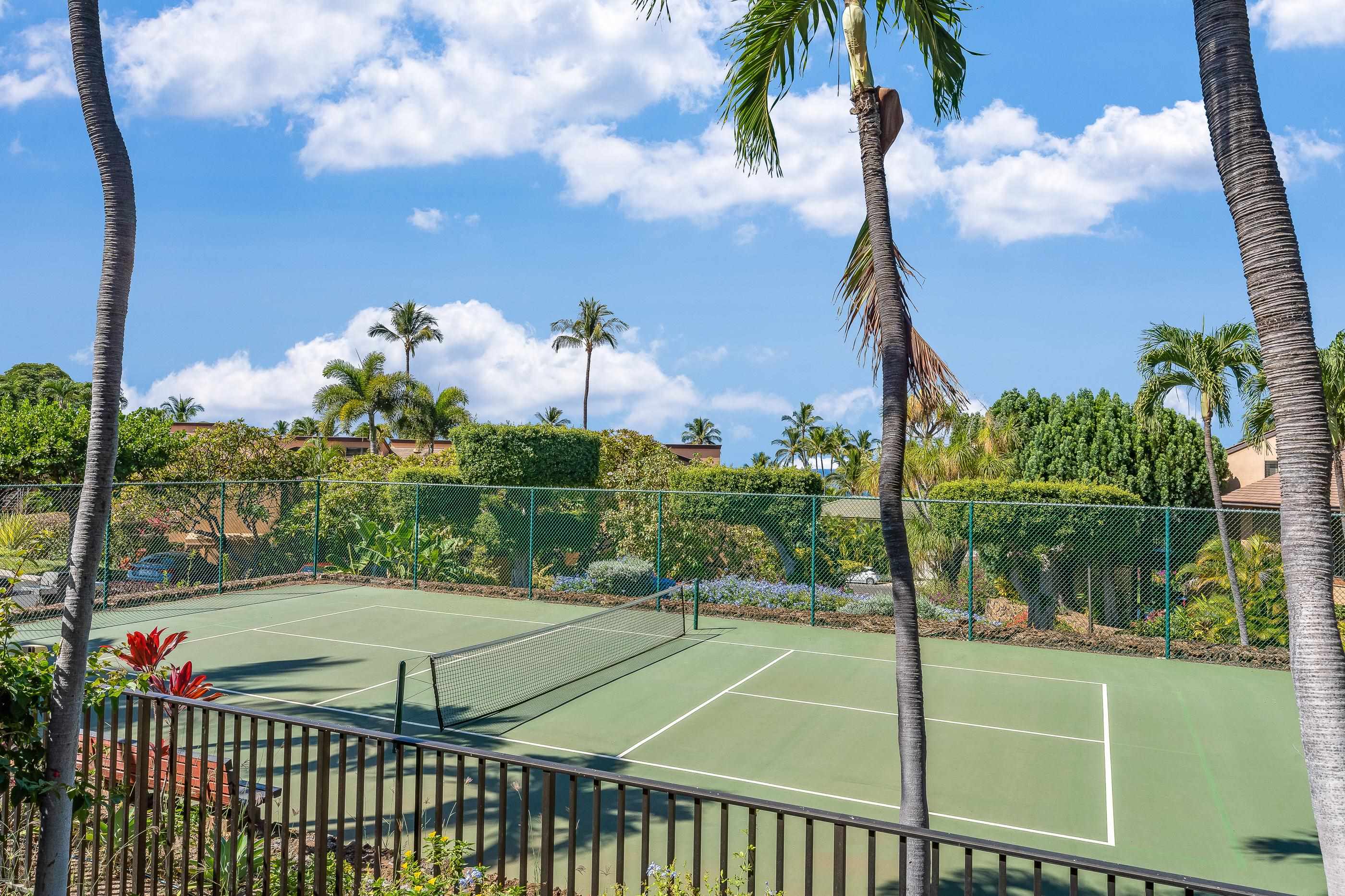 Wailea Ekahi I condo # 1E, Kihei, Hawaii - photo 28 of 44