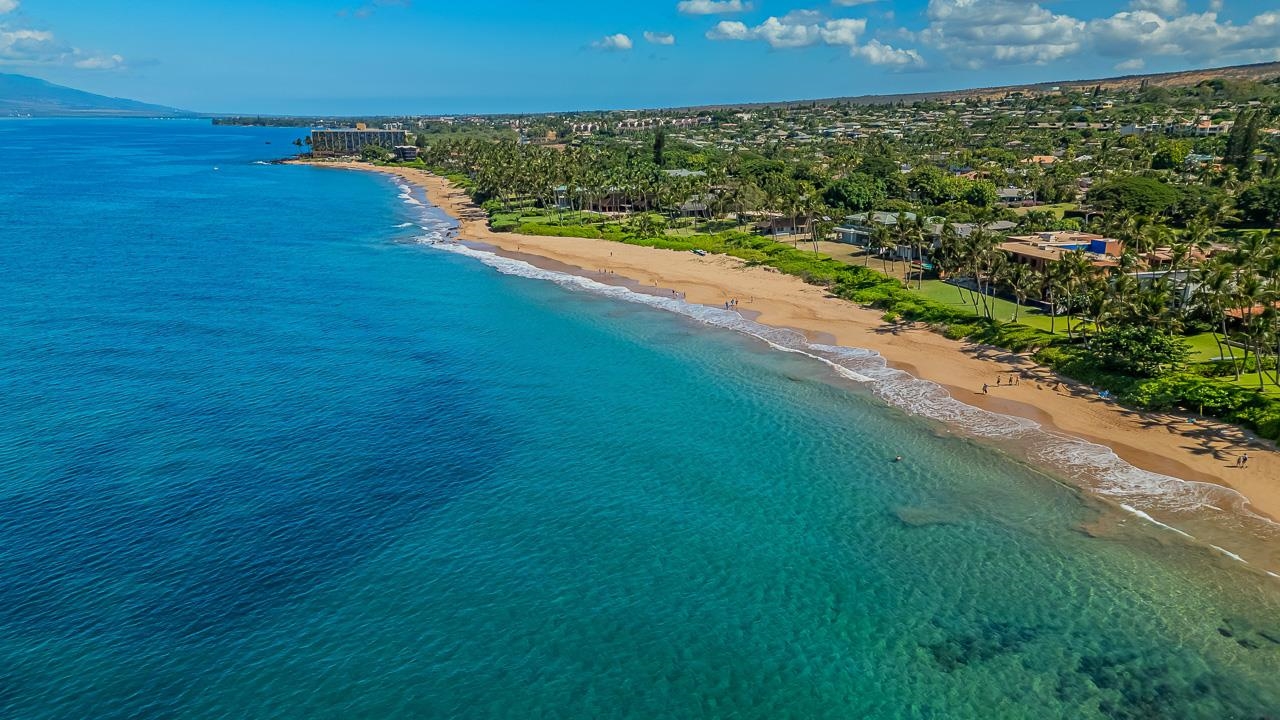 Wailea Ekahi II condo # 20D, Kihei, Hawaii - photo 34 of 50