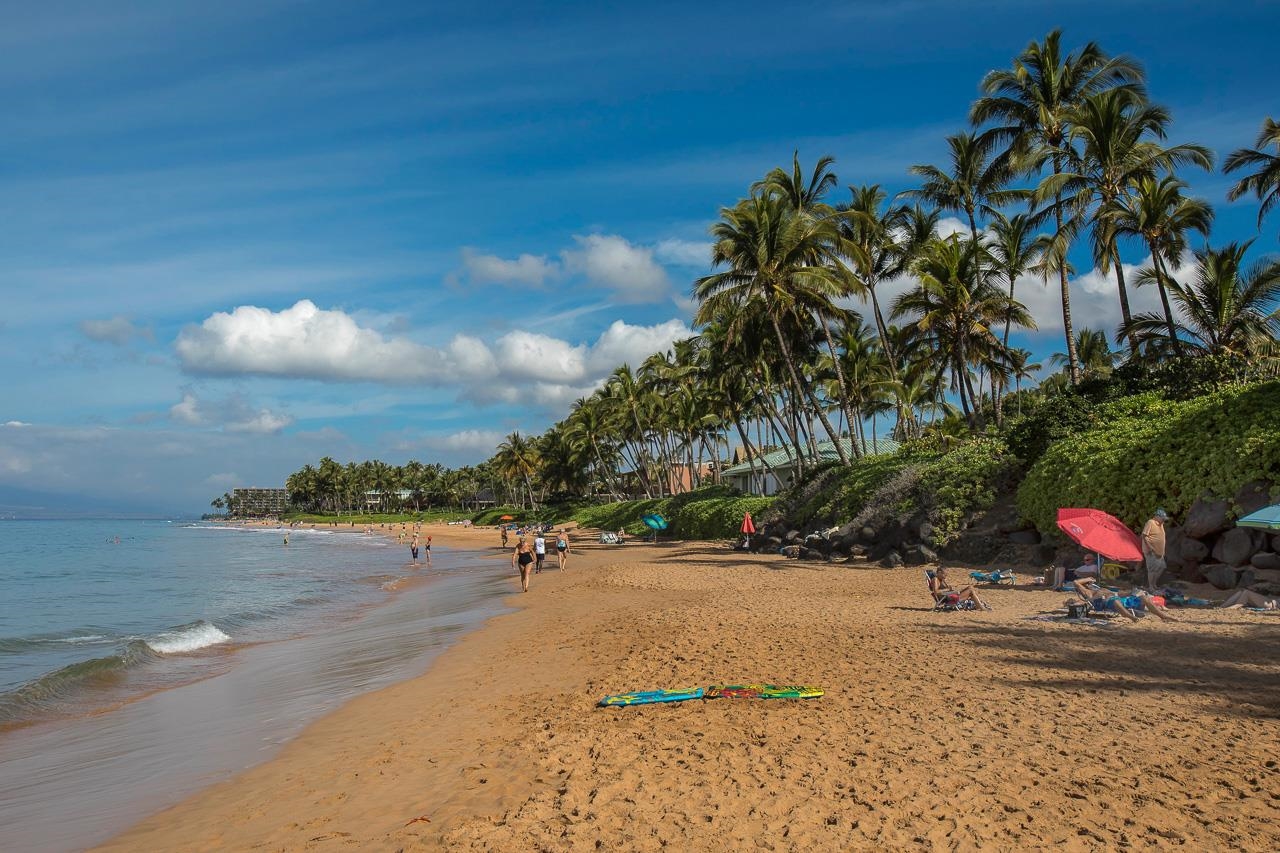 Wailea Ekahi II condo # 20D, Kihei, Hawaii - photo 6 of 50