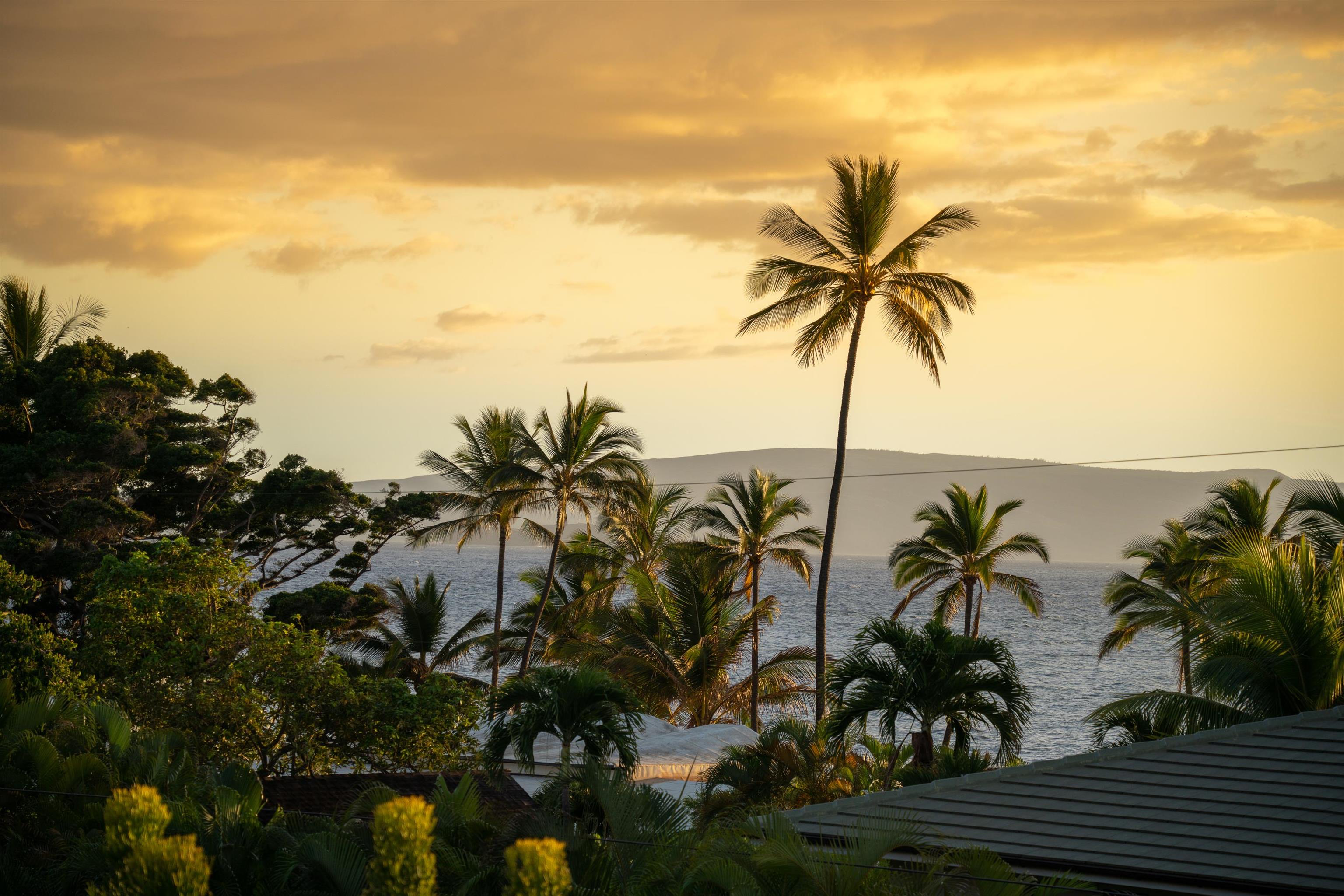 Wailea Ekahi II condo # 20G, Kihei, Hawaii - photo 24 of 30