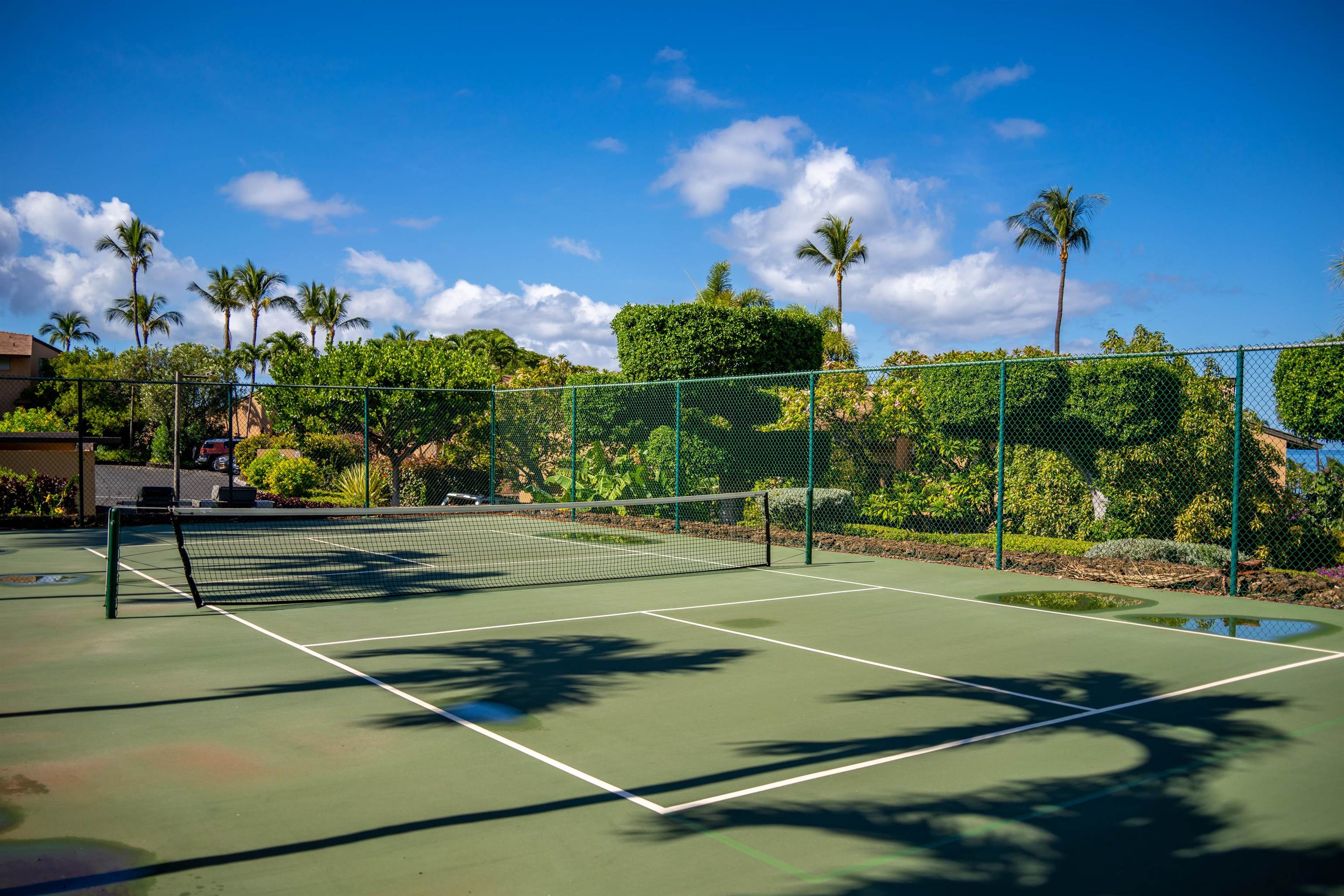 Wailea Ekahi II condo # 20G, Kihei, Hawaii - photo 28 of 30