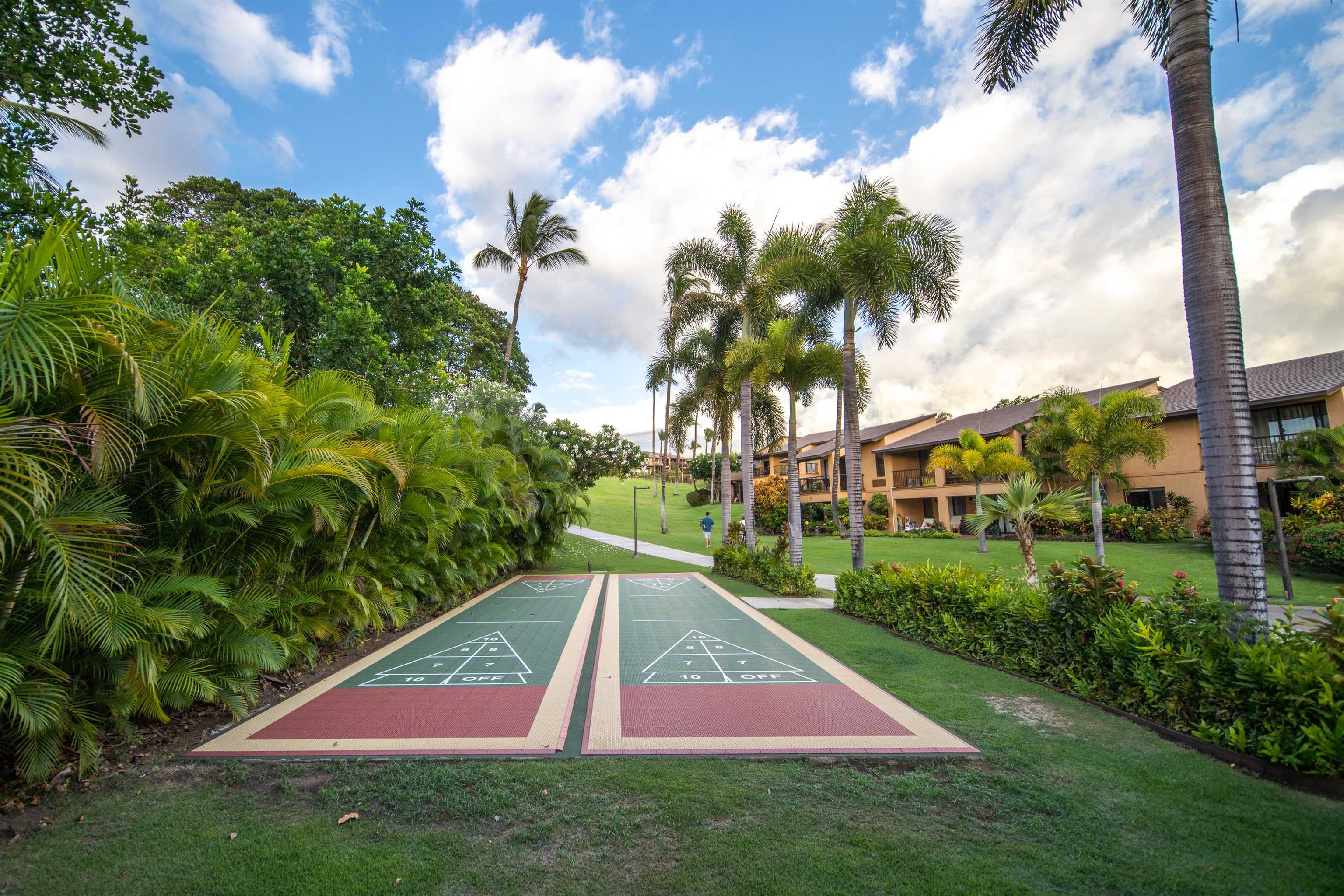 Wailea Ekahi II condo # 20G, Kihei, Hawaii - photo 29 of 30