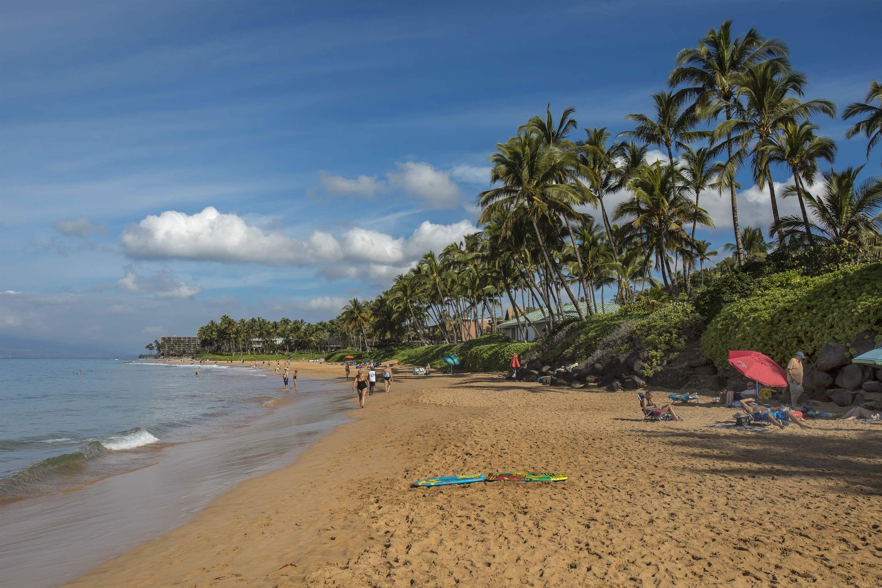 Wailea Ekahi I condo # 25B, Kihei, Hawaii - photo 28 of 50