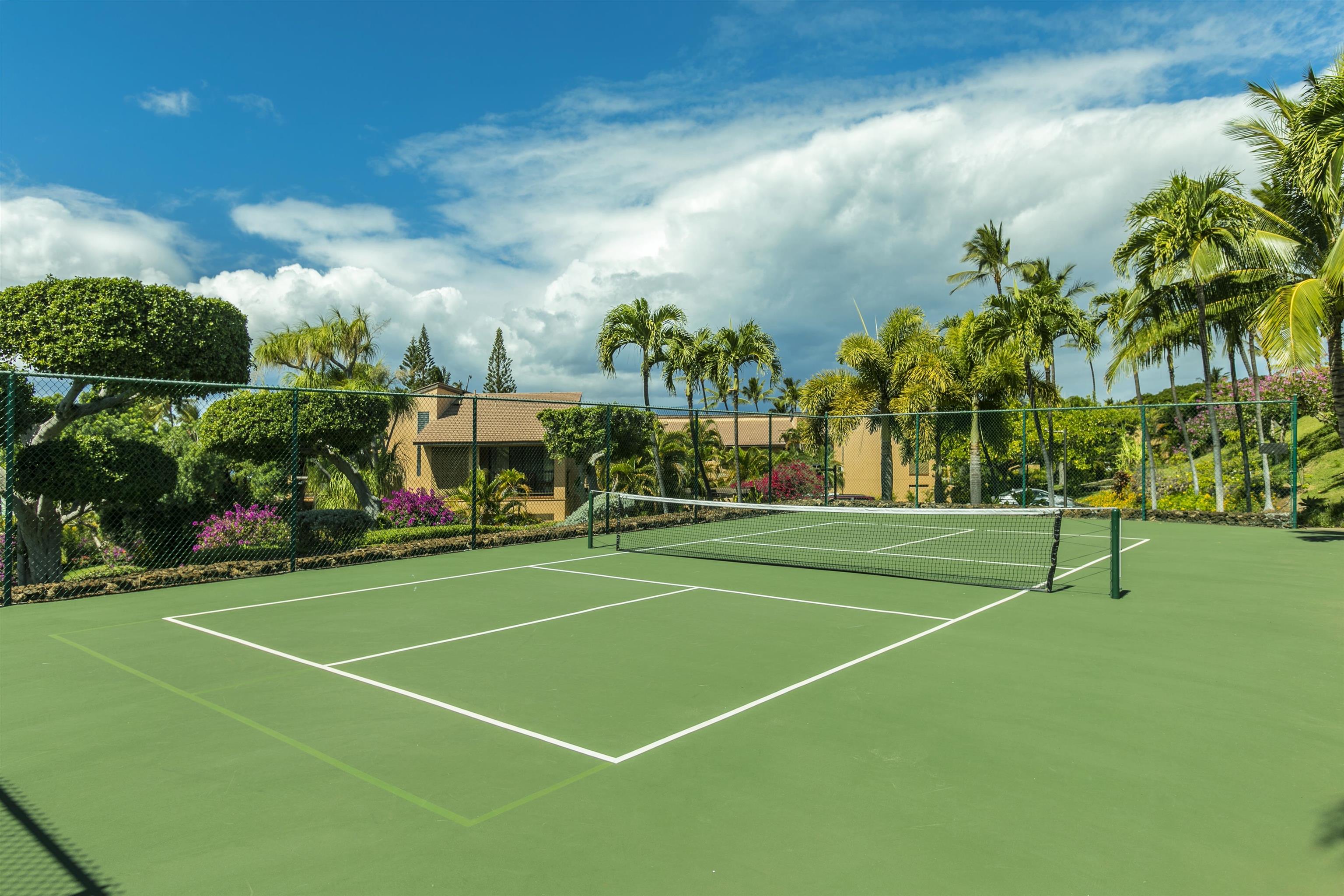 Wailea Ekahi I condo # 25B, Kihei, Hawaii - photo 49 of 50